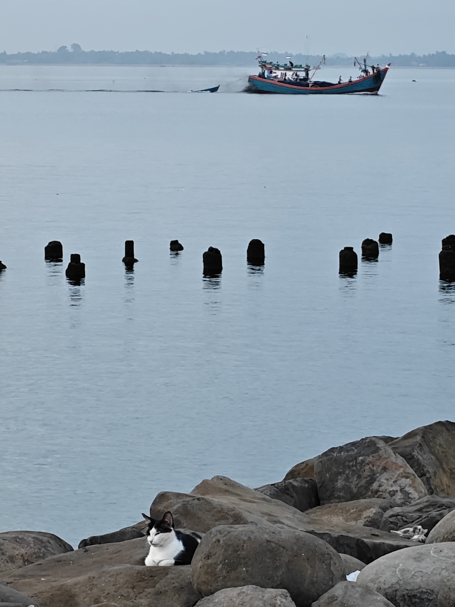 The image captures a tranquil scene at the waterfront in Lhokseumawe, Indonesia, likely during an overcast day. In the foreground, a black and white cat is resting on a rocky shore, its eyes closed, appearing calm and relaxed. The shore is composed of large, irregular boulders, with some smaller rocks scattered around. The sea stretches out in the background, with a fishing boat sailing in the distance. The boat is painted in vibrant colors of teal and orange, with several people visible on deck. The water is calm, reflecting the muted tones of the sky. Further out, a faint line of trees and land can be seen on the horizon, suggesting a coastal landscape. Several dark, weathered wooden posts emerge from the water in a line, remnants of a past structure or marker, adding a sense of history to the scene. The overall atmosphere is peaceful and serene, characteristic of a quiet day by the sea in Lhokseumawe.