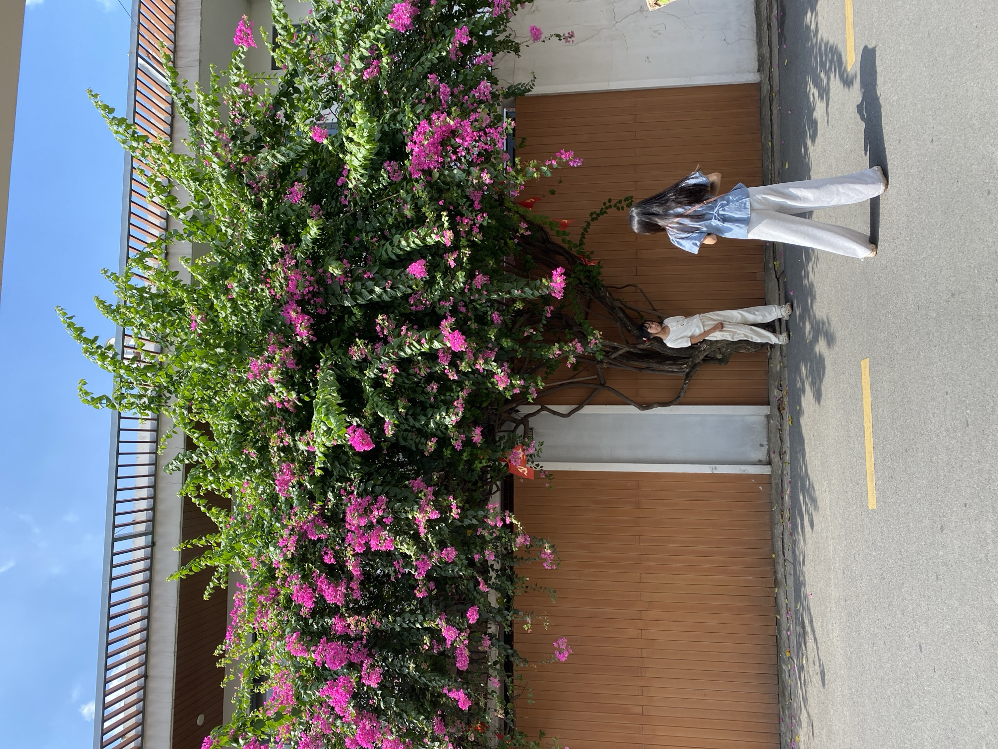 The image shows a section of a street in what is probably the city of Đồng Nai, Vietnam. A large bougainvillea bush with vibrant pink flowers dominates the left side of the frame, growing against a light-colored building. Two women stand on the sidewalk to the right of the bush. One woman is wearing a light blue top and white pants, while the other is wearing a white shirt and white pants, and is leaning against the bush. A road with a yellow line runs to the right. The image is slightly rotated counterclockwise. The scene is lit by natural sunlight.