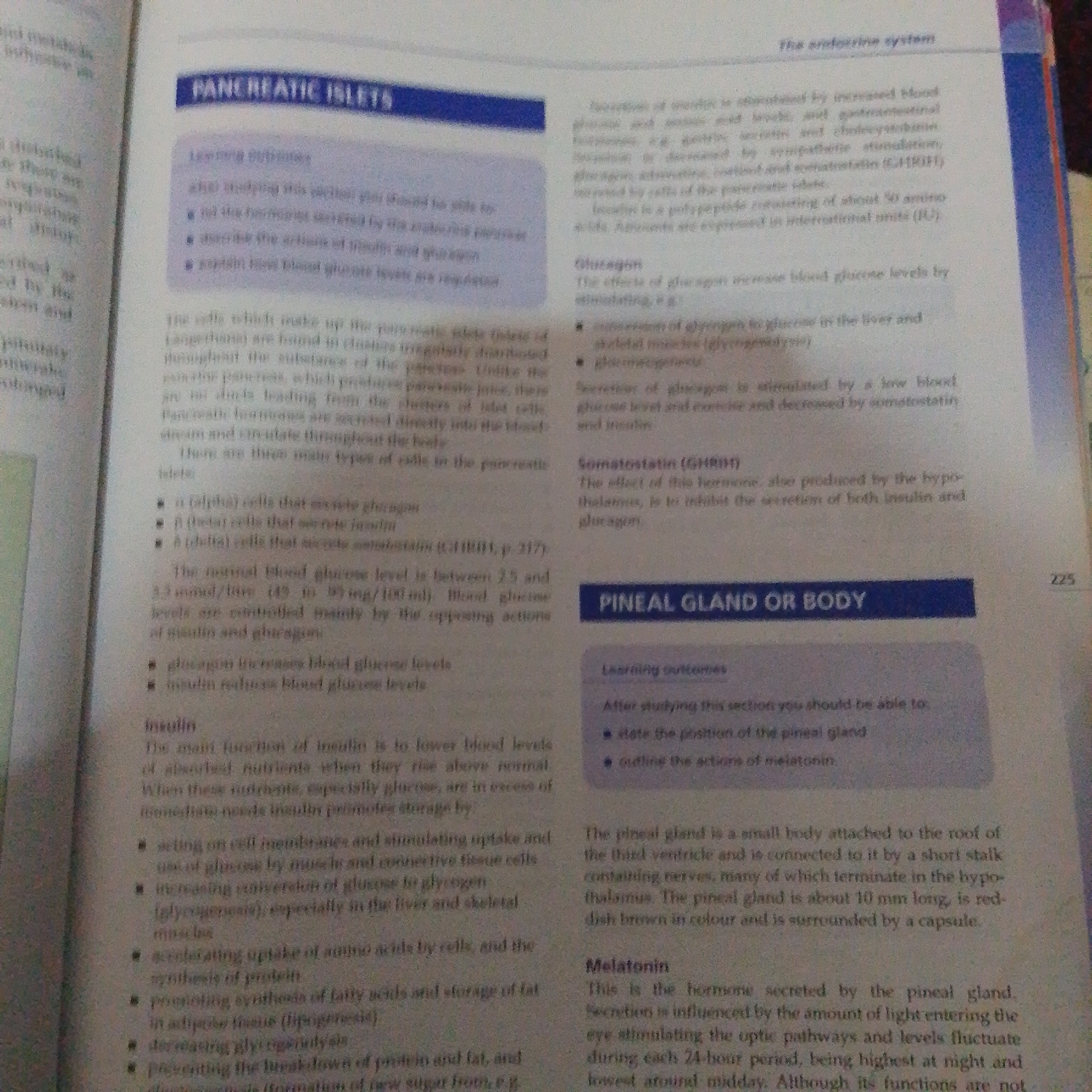 The image is a photograph of an open book, likely a biology or anatomy textbook, showing a section on the endocrine system. The text is in English, with headings such as "PANCREATIC ISLETS," "PINEAL GLAND OR BODY," and "Melatonin."
The left side of the page discusses pancreatic islets, their function in producing hormones like insulin and glucagon, and the normal blood glucose level. There are bullet points listing the effects of insulin, such as acting on cell membranes, increasing conversion of glucose to glycogen, and accelerating uptake of amino acids.
The right side of the page describes glucagon, somatostatin, and the pineal gland. It mentions that glucagon increases blood glucose levels and its secretion is stimulated by low blood glucose and exercise. Somatostatin is described as a hormone that inhibits the secretion of insulin and glucagon. The pineal gland is identified as a small body attached to the roof of the third ventricle, and its hormone, melatonin, is discussed. The text notes that melatonin secretion is influenced by light and fluctuates during a 24-hour period, being highest at night.
The lighting suggests the image was taken indoors, possibly in a study or library setting. There are no people or specific environmental cues to indicate a particular time of day or weather conditions. The page number "225" is visible in the top right corner. The overall scene is academic and informative. The location context of Jalingo, Nigeria, is not directly evident from the image content but is provided as external information.