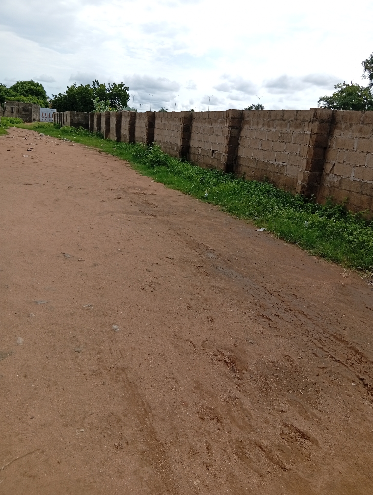 The image shows a dirt road in Jalingo, Nigeria, with a concrete block wall running along the right side of the road. The wall is approximately 2.5 meters high and appears to be part of a property boundary or construction. There is overgrown green grass and weeds growing along the base of the wall. On the left side of the road, there are some unfinished concrete structures and trees. The sky is overcast with clouds. The road surface is dusty and uneven, with some tire tracks visible. There are no people or vehicles clearly visible in the image.