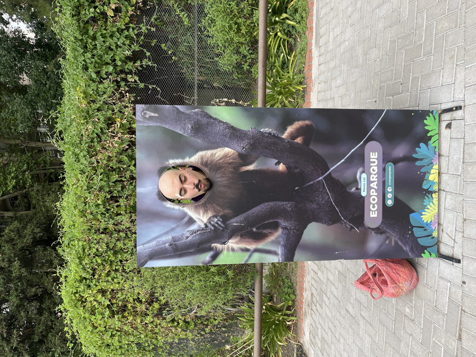 A man's head is positioned within the cutout of a monkey face on a promotional sign for "Ecoparque Mono cal." The sign features a monkey illustration clinging to tree branches. Lush green vegetation borders the sign, which stands on a brick-paved area. A red mesh bag rests at the sign's base. The picture is turned sideways.