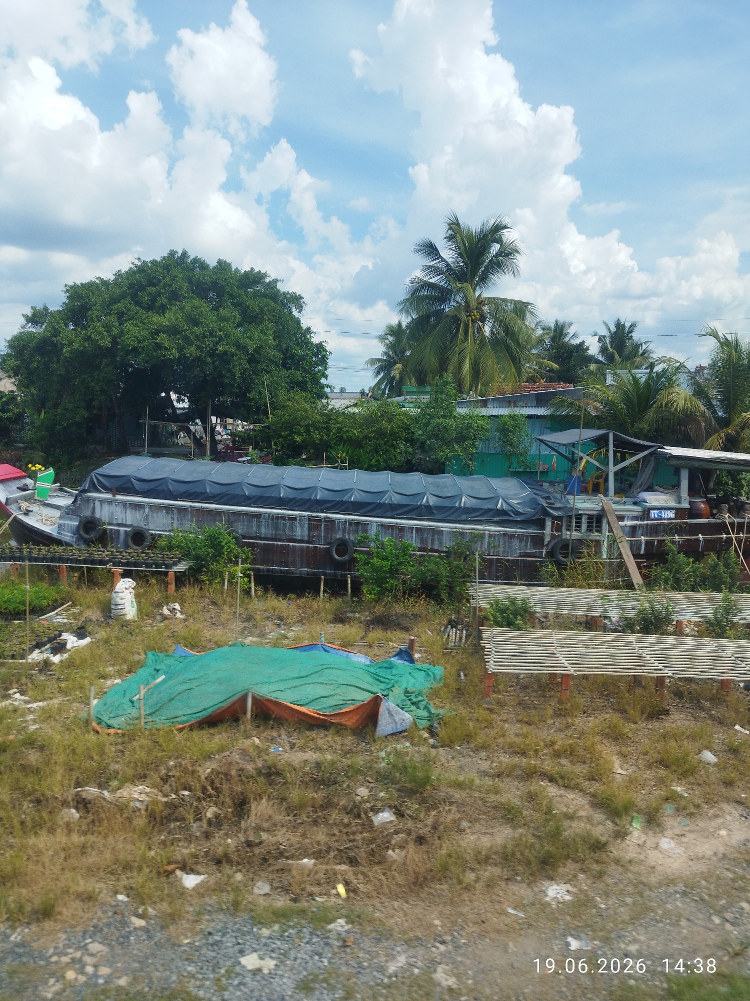 This image captures a waterfront scene, likely in Xã Tân Dương, Vietnam, under a bright, cloudy sky. The primary subject is a large, older barge, its hull weathered and marked, covered with a dark tarp. It appears to be docked or beached on the shore.
In the foreground, the ground is covered with dry grass and scattered debris, with some areas covered by a bright green tarp and an orange tarp. Behind the barge, lush green trees and palm trees dominate the landscape, interspersed with some buildings, including one with a green corrugated metal roof. Several wooden structures, possibly for drying or display, are visible.
The time of day is indicated by the timestamp "19.06.2026 14:38" in the lower right corner, suggesting it is mid-afternoon. The weather appears to be warm and sunny, with fluffy white clouds scattered across a blue sky. No people are clearly visible in the image. The scene conveys a sense of everyday life in a rural or semi-rural riverside community, with a focus on the natural environment and the presence of watercraft. Visible text includes the timestamp and a license plate-like marking on the barge's structure, which appears to read "T2-1996".