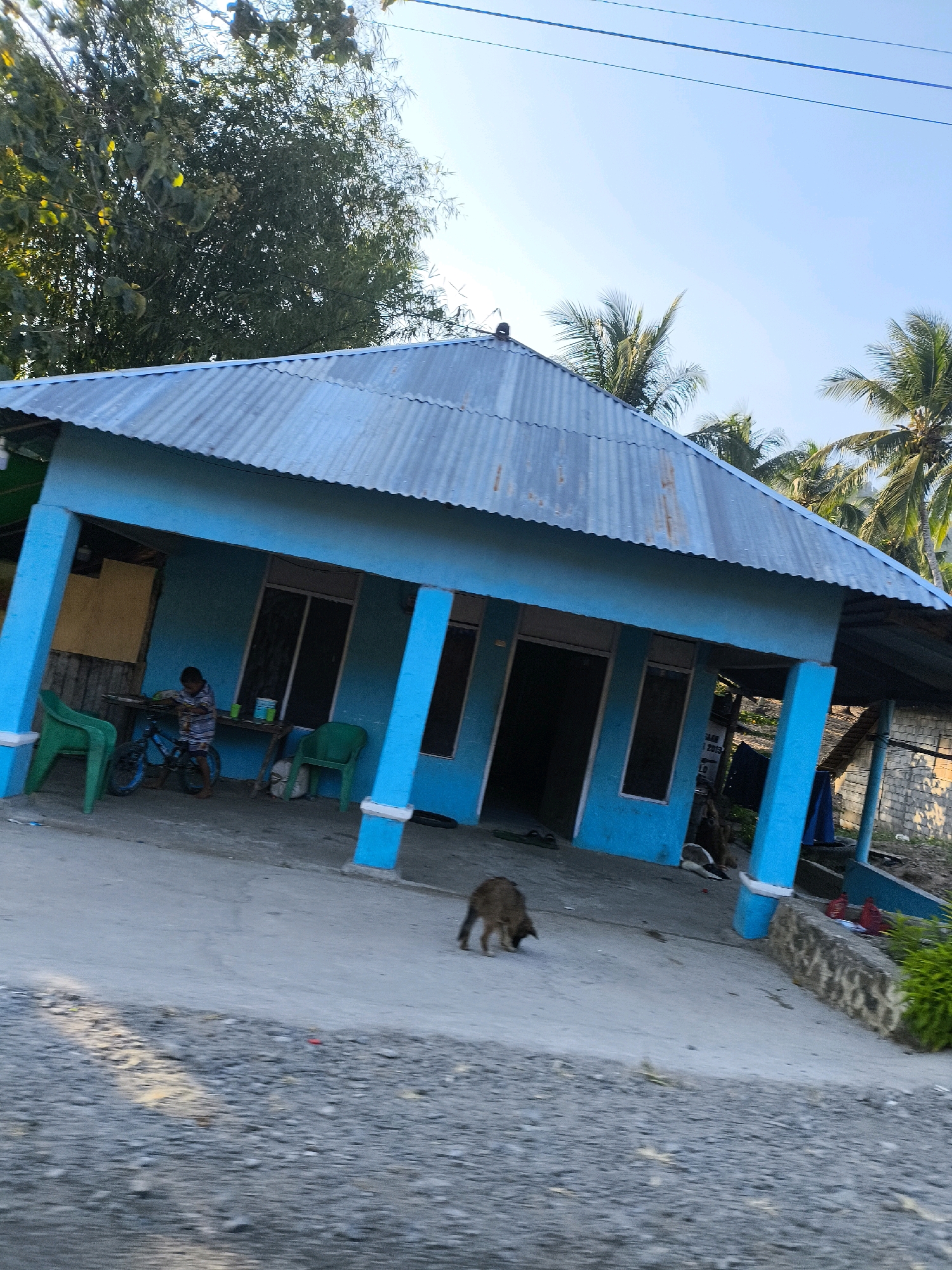 A light blue, single-story building with a corrugated metal roof is the central focus of the image. The building has a covered porch supported by blue pillars. A young person, wearing a striped shirt and shorts, is standing near a blue bicycle on the porch. Two green plastic chairs are positioned on the porch, and a person is seated in one of them. The ground in front of the building is paved with concrete. A dog is visible on the concrete, facing away from the camera. The scene appears to be in a rural or semi-rural area, with palm trees visible in the background. The sky is clear and blue. The image is shot from a slightly tilted angle, giving the impression of movement. This building is located in the city of Dulupi, Indonesia.