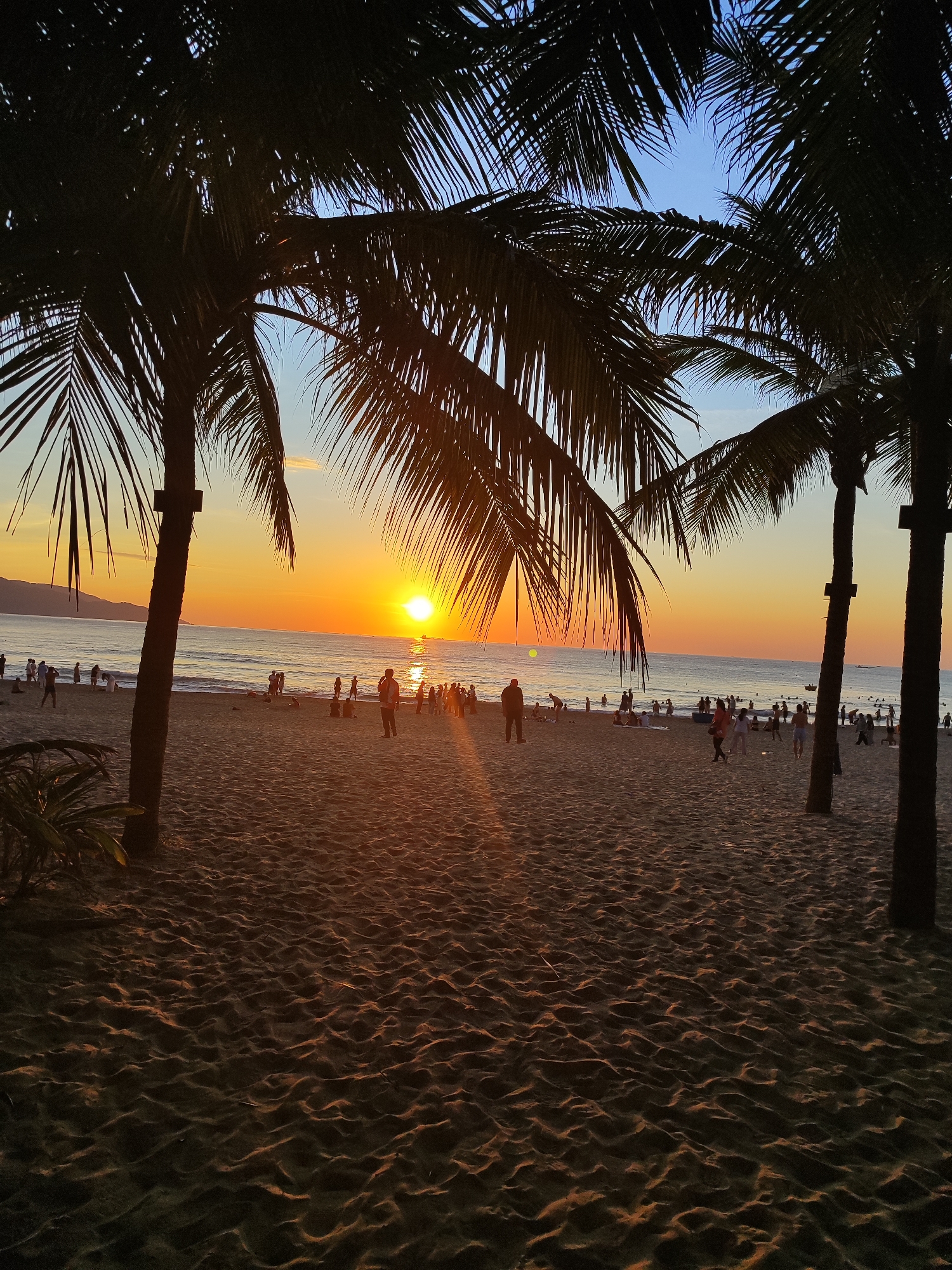 The image depicts a beach scene at sunset in Đà Nẵng, Vietnam. The sun, a bright orange orb, is setting over the ocean, casting a warm glow across the sky and reflecting on the water. Silhouetted palm trees frame the view from the foreground, their fronds creating a dappled effect on the sand. Numerous people are scattered across the beach, some walking along the shoreline, others gathered in groups, and a few are visible in the shallow water. The sand is rippled from the wind and tide, and the overall atmosphere is one of peaceful evening recreation.
