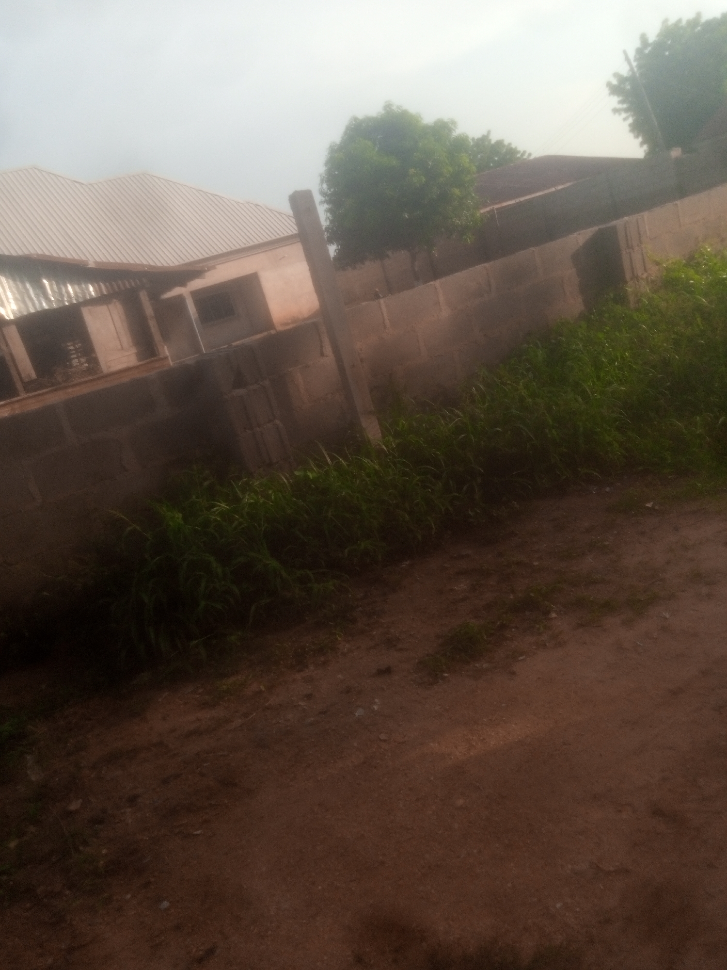 The image depicts a street scene in Jalingo, Nigeria, under an overcast sky. A house with a corrugated metal roof is visible on the left, adjacent to a wall constructed from concrete blocks. Tall green grass grows along the base of the wall. A dirt path or road occupies the foreground. A wooden post stands vertically near the center of the image, partially obscured by the grass. Beyond the block wall, more trees and structures are visible in the background, suggesting a residential area.