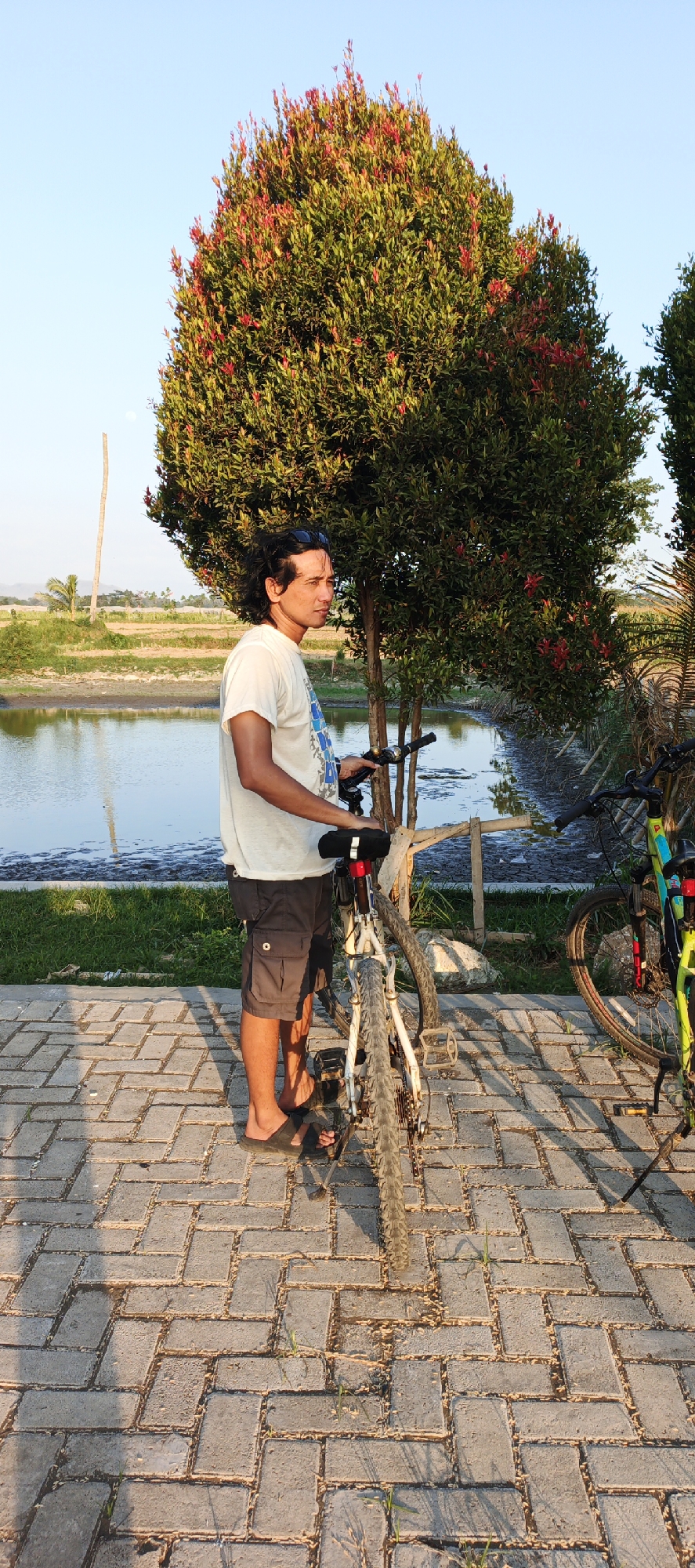 A man in a white t-shirt and gray shorts stands next to a bicycle on a paved walkway. He is facing to the right, looking out at a body of water. Behind him is a large tree with red flowers. The walkway is made of interlocking gray pavers. The background shows a body of water, green grass, and some distant trees and buildings. The sky is clear and blue. The scene appears to be outdoors in a rural or park-like setting. This image was taken in Jambearum, Indonesia.