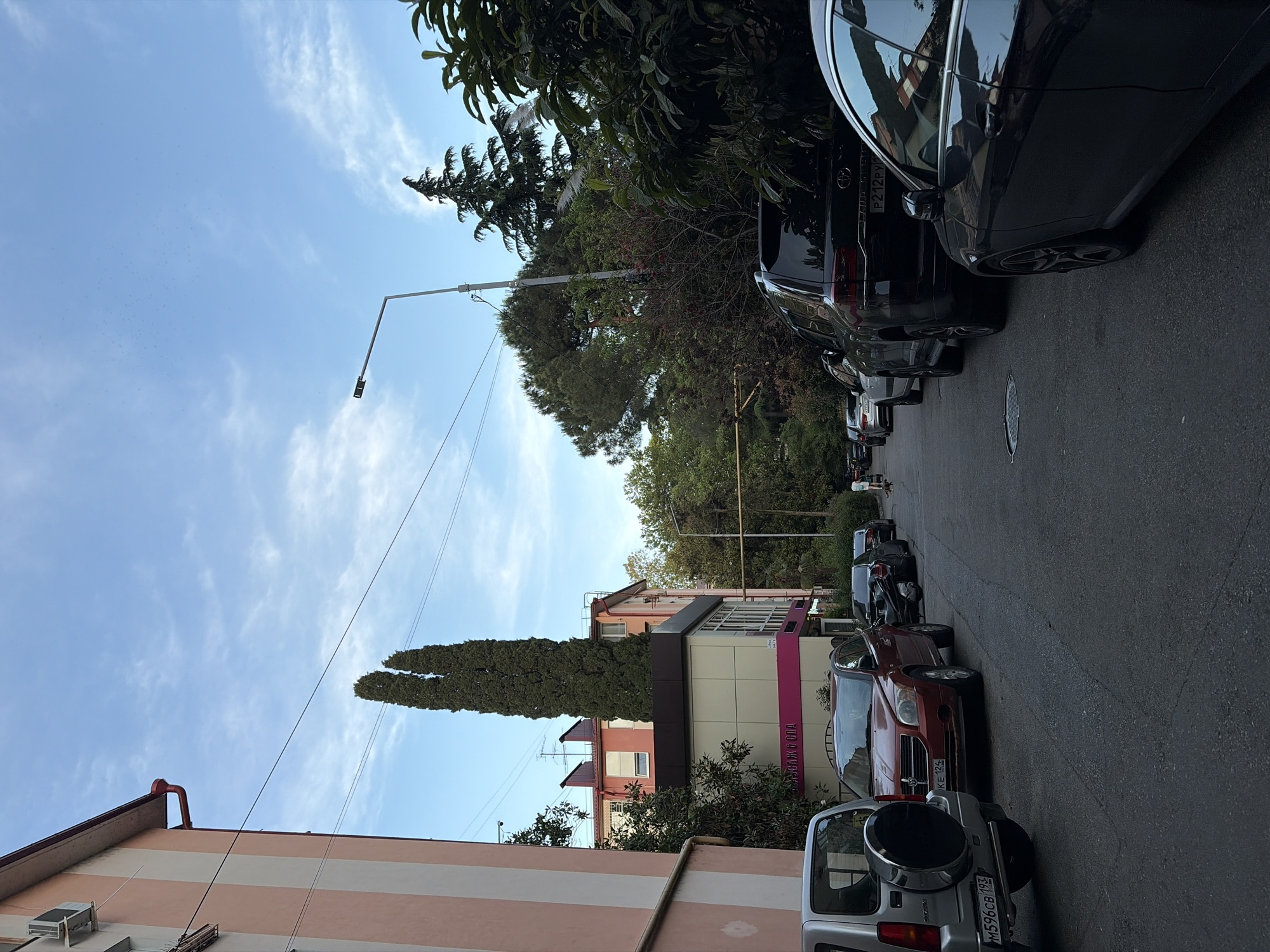 A straight-on, slightly low-angle shot captures a street in Sochi, Russia, lined with parked cars and buildings. The sky above is a bright blue with scattered wispy clouds. The buildings on the left are predominantly light pink with white vertical stripes, and one features an air conditioning unit mounted high on its exterior. A tall, slender evergreen tree stands prominently near the center of the frame, with other lush green trees and foliage visible on the right and in the background. Several cars are parked along the right side of the street, including a silver SUV on the far left, a red sedan, a black SUV, and other darker vehicles. A street lamp with a single light fixture stands tall, its pole extending into the upper portion of the image. In the distance, a person is walking on the sidewalk, and a small dog is also visible on the street. The asphalt road surface shows signs of wear, and a manhole cover is visible in the lower left quadrant. The overall scene depicts a typical urban streetscape with residential and commercial elements, bathed in daylight.