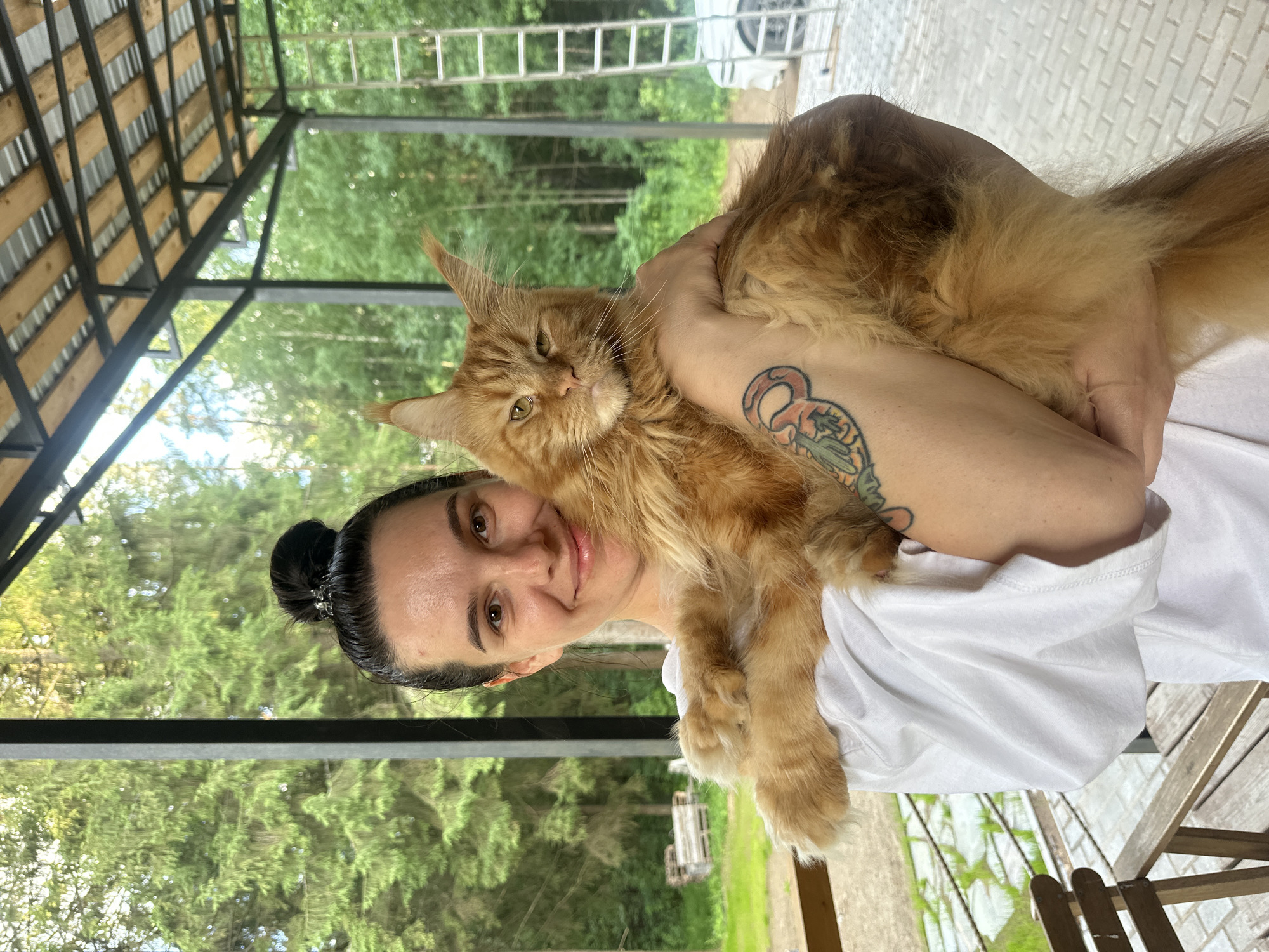 A woman with dark hair in a bun holds a large orange Maine Coon cat in an outdoor, partially constructed structure. She is wearing a white t-shirt and has a tattoo on her left arm. The cat is looking towards the camera with its ears perked. In the background, there are trees, a ladder, and a white car. The ground is paved with brick. The location is in the city of Prikamsky, Russia.