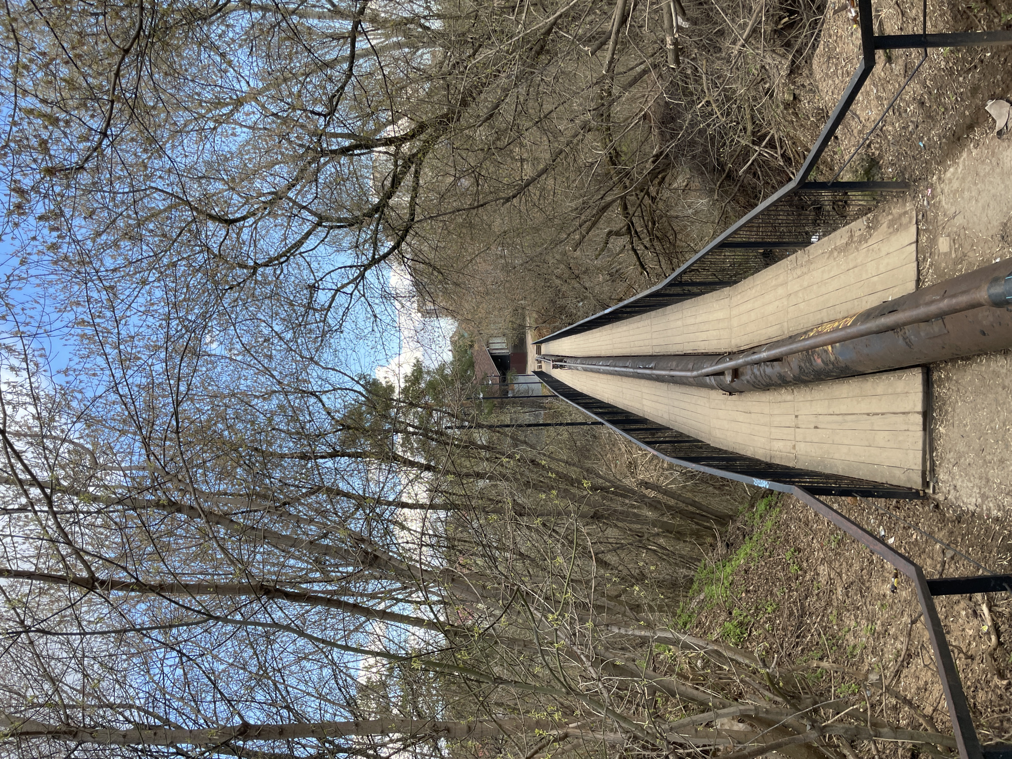 The image shows a bridge in what appears to be a wooded area. The bridge has a wooden walkway with black metal railings on either side. A large pipe runs along the side of the bridge. The trees surrounding the bridge are bare, with only a few signs of new growth. The sky is visible through the branches, with some clouds. The location is not ascertainable from the image provided.
