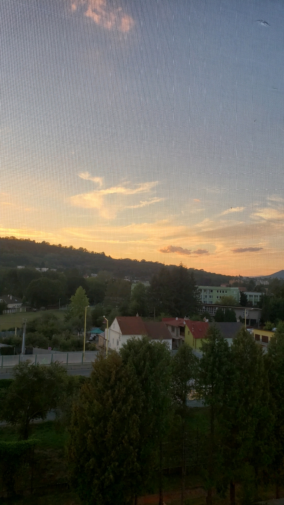 The image depicts a view of a residential area at dusk, possibly from a window with a screen. The sky is a gradient of pale blue and soft orange hues, with some wispy clouds illuminated by the setting sun. In the mid-ground, a line of green trees separates the foreground from a collection of buildings and a hillside covered in more trees. The buildings appear to be a mix of houses with red roofs and larger, more institutional buildings, one of which is pale green. A road is visible in the mid-ground, with a street lamp. The foreground is dominated by dark green trees and shrubs, suggesting a residential setting with vegetation. The overall atmosphere is calm and serene, characteristic of a sunset in a semi-urban or suburban environment.