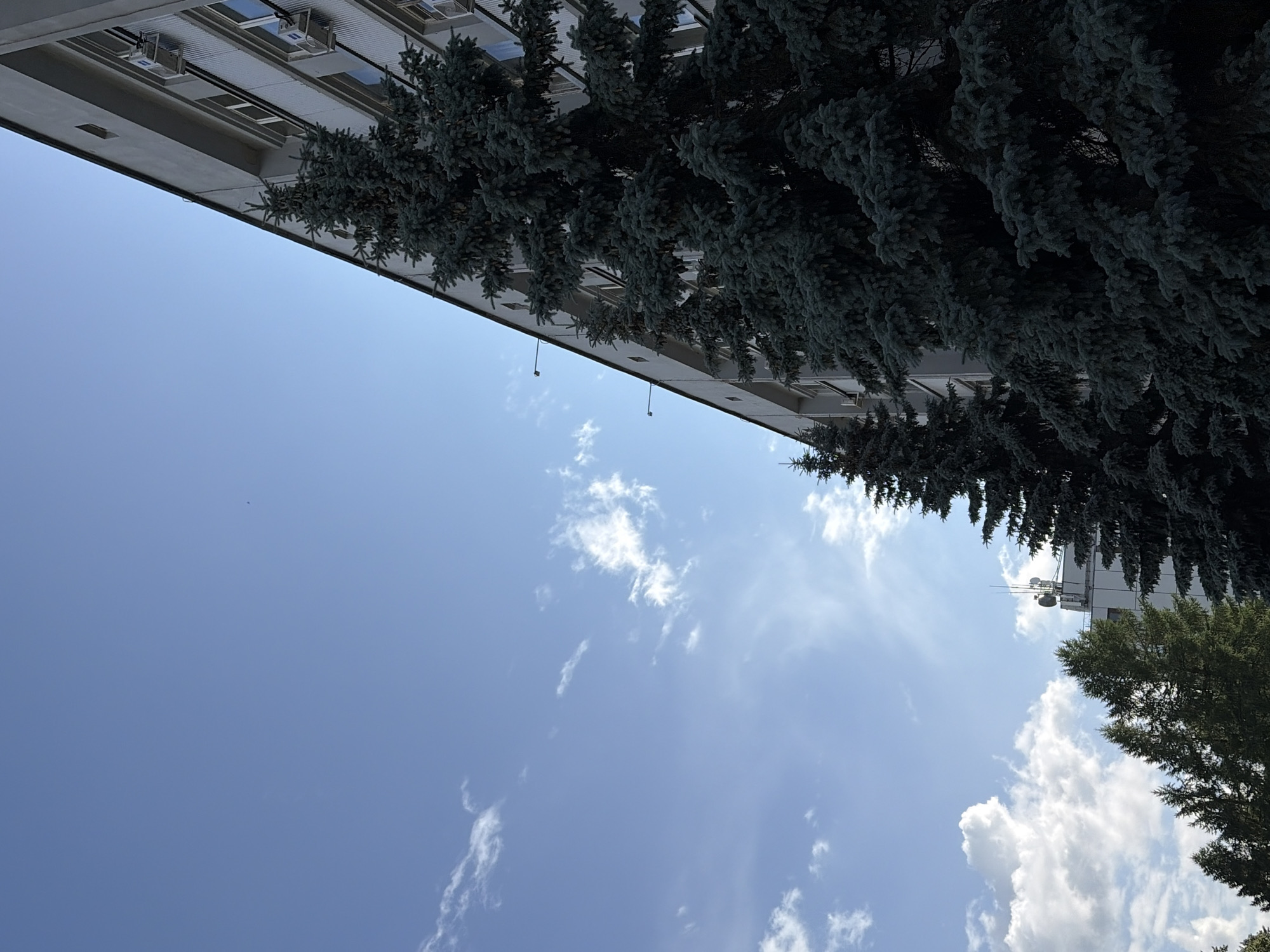 The image captures a perspective looking up at a multi-story building and several coniferous trees against a bright blue sky with scattered white clouds. The building appears to be an institutional or office building, constructed with light-colored material, featuring multiple windows and air conditioning units. The trees, which are lush and dark green, are positioned in front of and to the side of the building, partially obscuring it from view. The scene is lit by natural sunlight, casting a slightly dramatic shadow from the building across the sky. The overall impression is one of a clear day, possibly in an urban or suburban setting. The specific location in Chaikovsky, Russia is indicated by the presence of similar architecture and tree types common in the region. There are no people or observable actions in the frame.