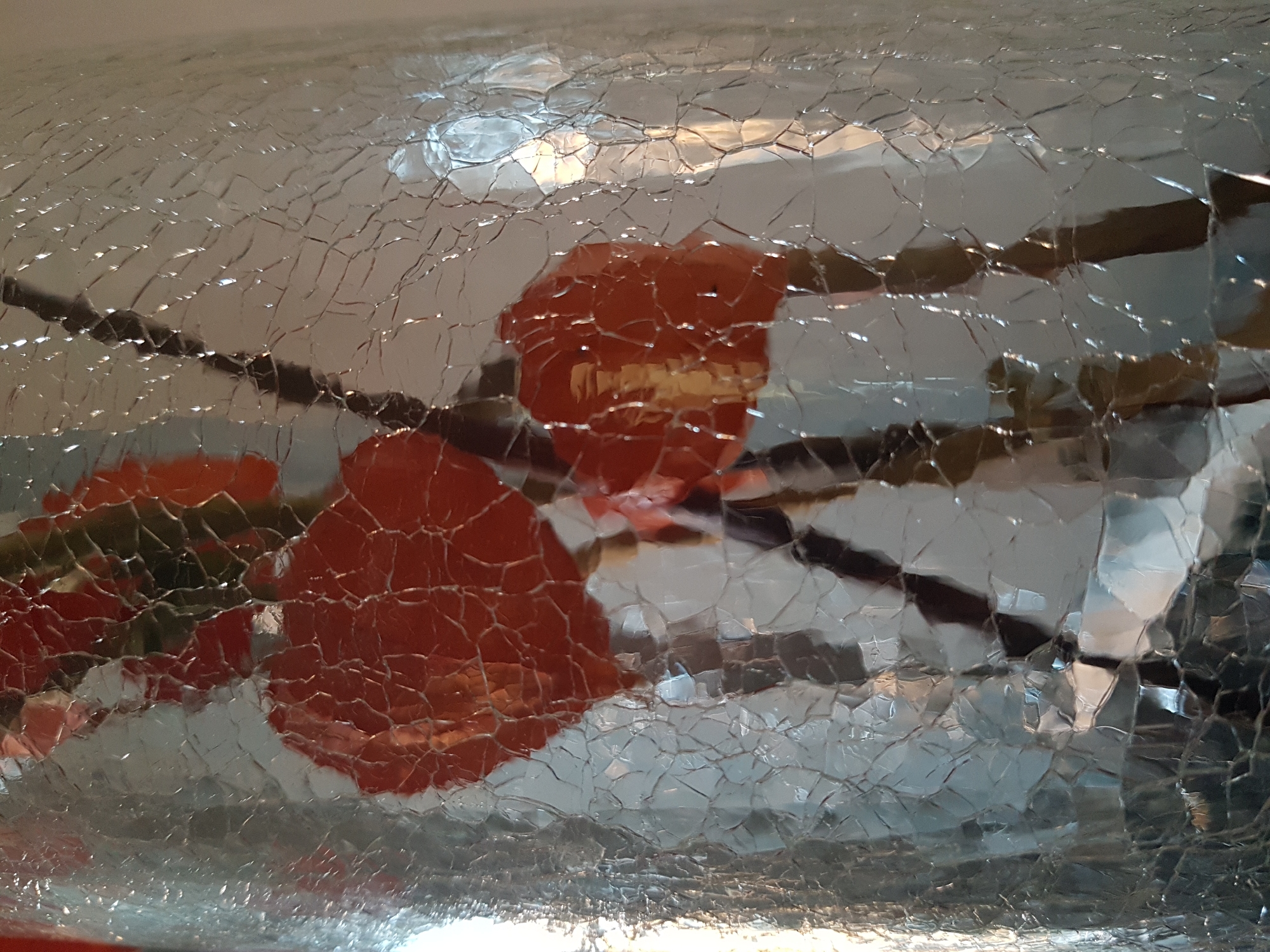 The image shows a close-up view through what appears to be shattered or cracked glass. Visible through the cracks are objects resembling red flowers and dark branches. The cracks create a mosaic effect, distorting the objects behind them. The background is blurred, suggesting a shallow depth of field. The specific location in Saint Petersburg, Russia, cannot be determined from the image alone.