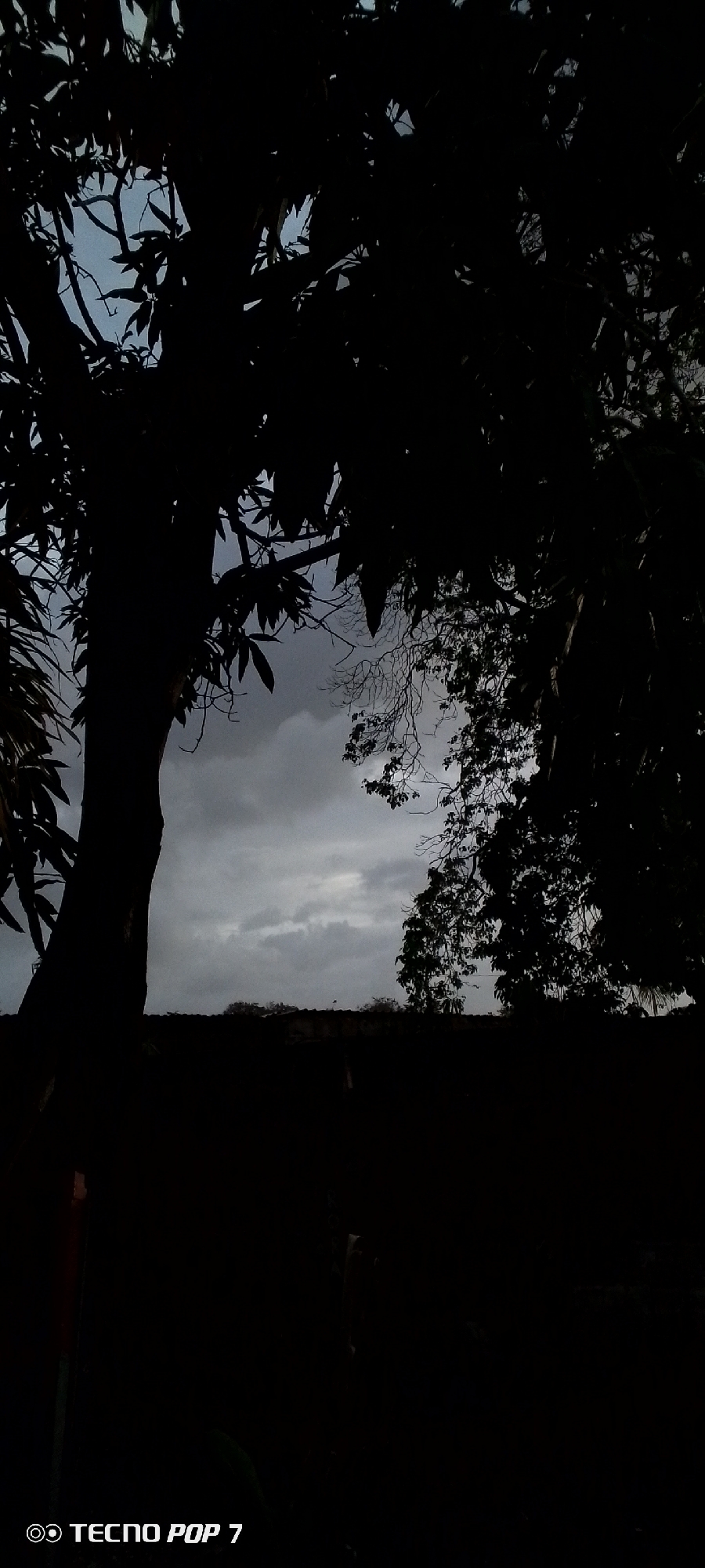 The image depicts a silhouetted view of trees against a cloudy sky. The scene is dark, with the foreground dominated by the dark masses of foliage and tree trunks. A wall or structure runs horizontally across the lower portion of the image, also in silhouette. The sky is overcast with a mix of lighter and darker clouds. The bottom left corner of the image contains a watermark reading "TECNO POP 7". The location in Altagracia, Venezuela, is inferred from external information and is not visually evident within the image itself. There are no people or discernible actions occurring in the scene.