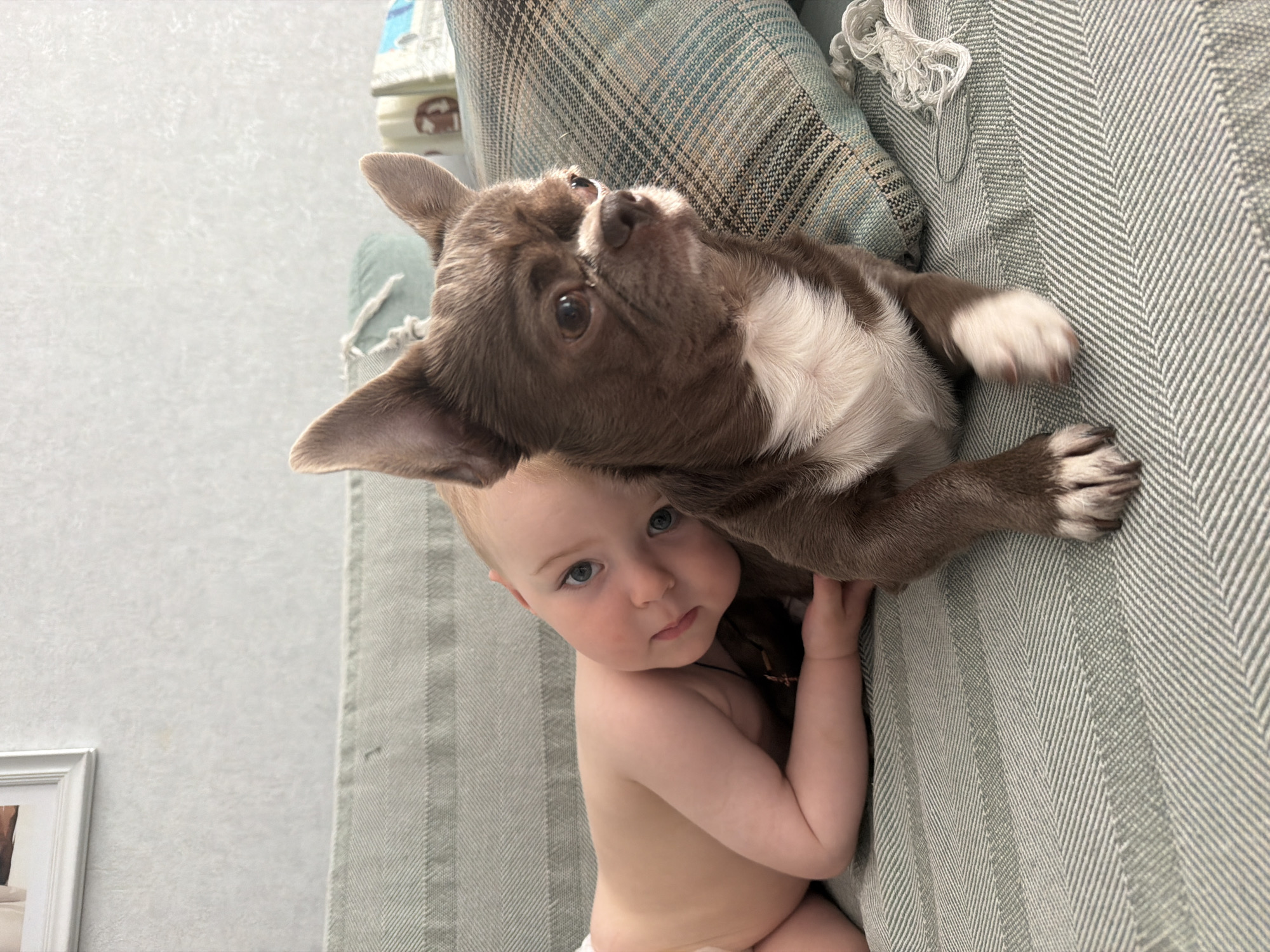 A baby and a brown and white dog are lying on a herringbone-patterned sofa. The baby is fair-skinned with blue eyes and blonde hair, wearing a diaper. The dog is a small breed with pointy ears. The background includes a patterned cushion and a white wall. The image does not provide information about the location in Votkinsk, Russia.