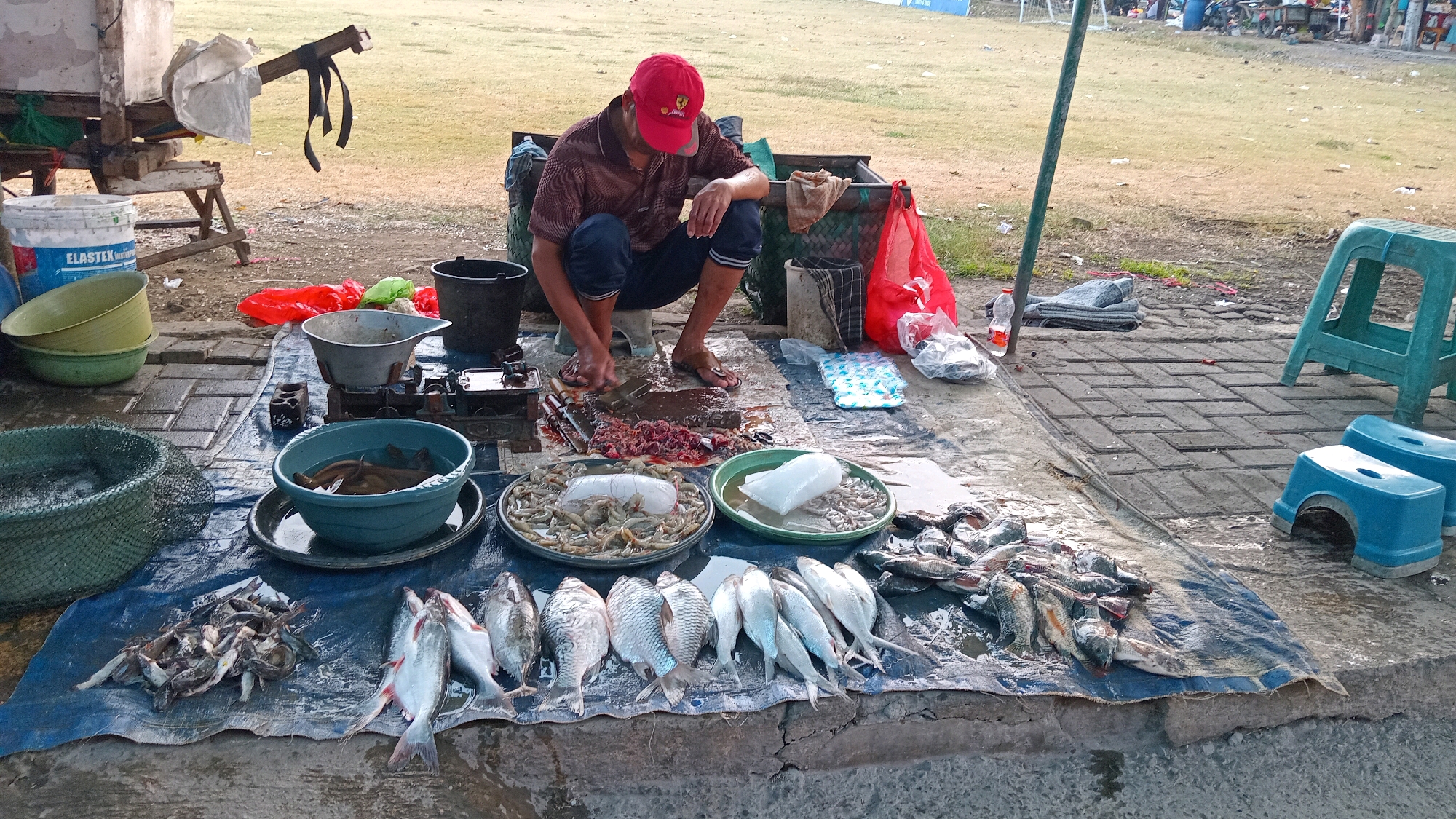 In Pongangan, Indonesia, a man wearing a red cap and a patterned short-sleeved shirt crouches on a blue tarp, preparing fish outdoors. He is using a large knife to cut pieces of fish on a dark cutting board. In front of him, the tarp is laid out with various types of fresh fish displayed, including silvery fish, darker fish, and smaller fish resembling shrimp. There are also bowls, buckets, and containers holding water and fish, along with a weighing scale. In the background, a grassy area is visible, along with some market stalls and other objects, suggesting a marketplace setting. The ground is paved with bricks in some areas and appears wet from the fish preparation. Blue and green plastic stools are also present near the display of fish.