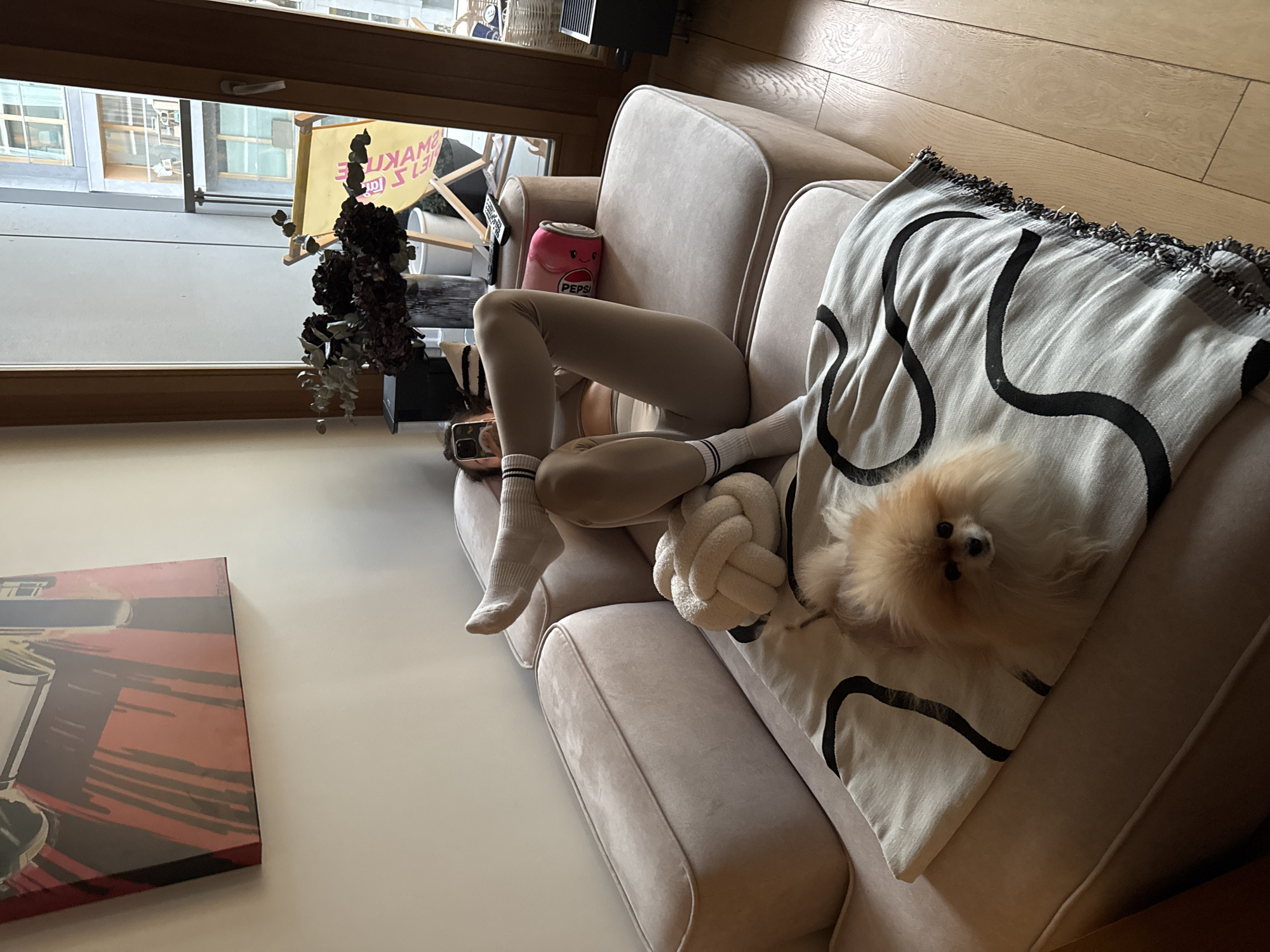 This image, rotated 90 degrees counter-clockwise, depicts a serene indoor setting, likely an apartment in Warsaw, Poland. A person is seen relaxing on a light beige upholstered sofa, with their legs and midsection visible. They are wearing light beige leggings and white socks with black stripes. Beside them, a fluffy, light brown Pomeranian dog lies comfortably on a white throw blanket that features a bold black wavy pattern and fringed edges, looking directly at the camera.
A white knot-shaped decorative pillow is positioned between the person's legs and the dog. Tucked into the sofa's armrest is a pink plushie shaped like a Pepsi can with a smiling face, clearly displaying the text "PEPSI". A smartphone with multiple camera lenses is visible near the person's hip.
Through a large window, an urban street or courtyard is visible, featuring modern buildings. Outside, part of a yellow outdoor banner or fabric chair is seen, with reversed text that includes "UMAM?S LEJ." In Polish, "S LEJ" means "pour" or "spill," hinting at a nearby cafe or establishment. A dark, dried plant arrangement hangs by the window. To the far left, a framed abstract artwork predominantly in red and black is partially visible on the wall. The room features light wooden flooring and light-colored walls, creating a bright and modern atmosphere during what appears to be daytime.