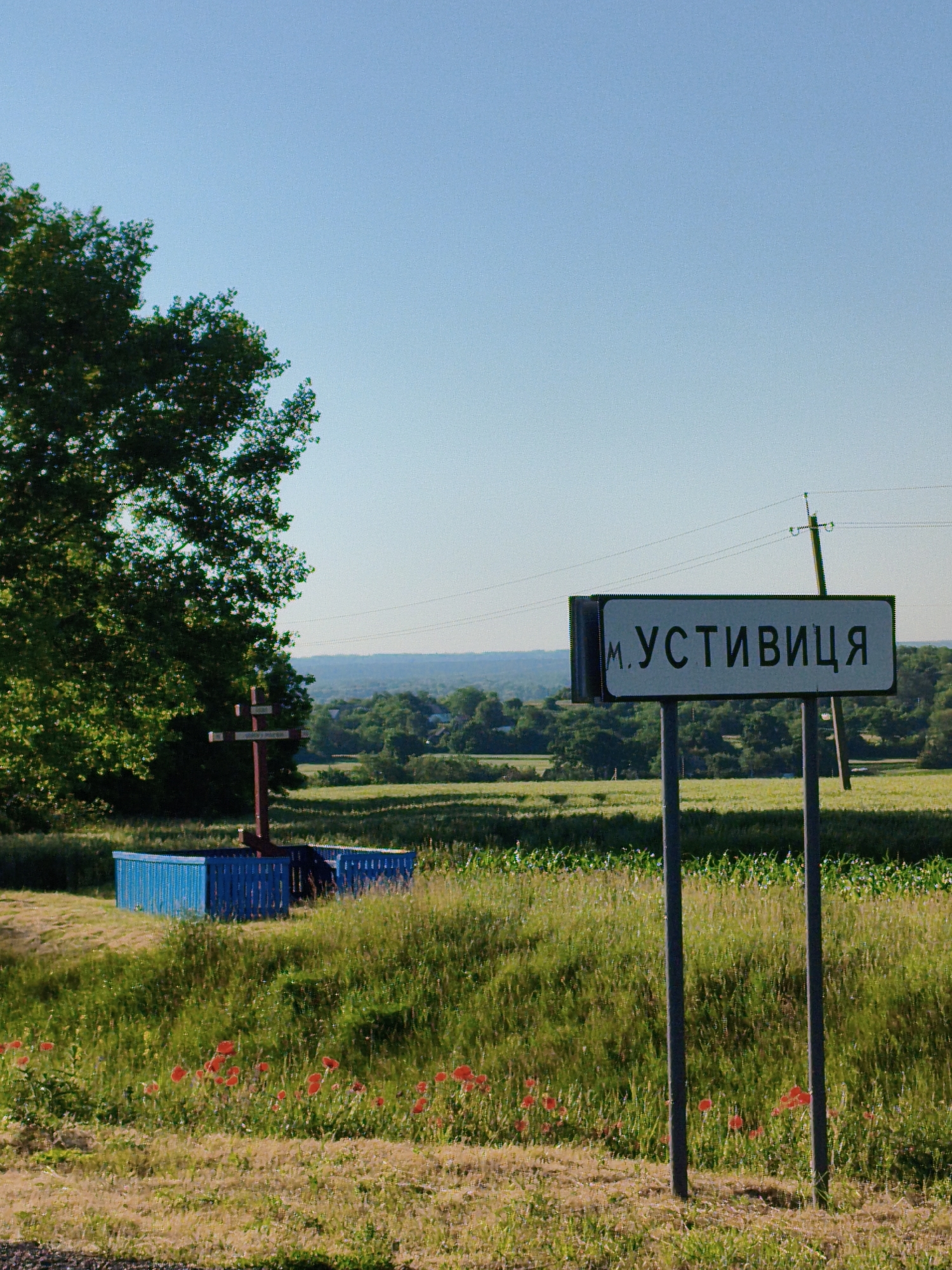 The image captures a clear, bright day in the city of Ustyvytsia, Ukraine. In the foreground, a road is partially visible, transitioning into a grassy verge dotted with bright red poppies. A signpost stands prominently, bearing the inscription "М. УСТИВИЦЯ," indicating the city's name. To the left of the signpost, a large green tree dominates the mid-ground, its branches casting shadows. Next to the tree is a wooden cross, painted with red and white stripes, and a bright blue wooden structure. The background reveals a rolling landscape of green fields and trees under a vast, clear blue sky. Power lines and a utility pole are visible in the distance, suggesting the presence of infrastructure. The scene is tranquil and pastoral.