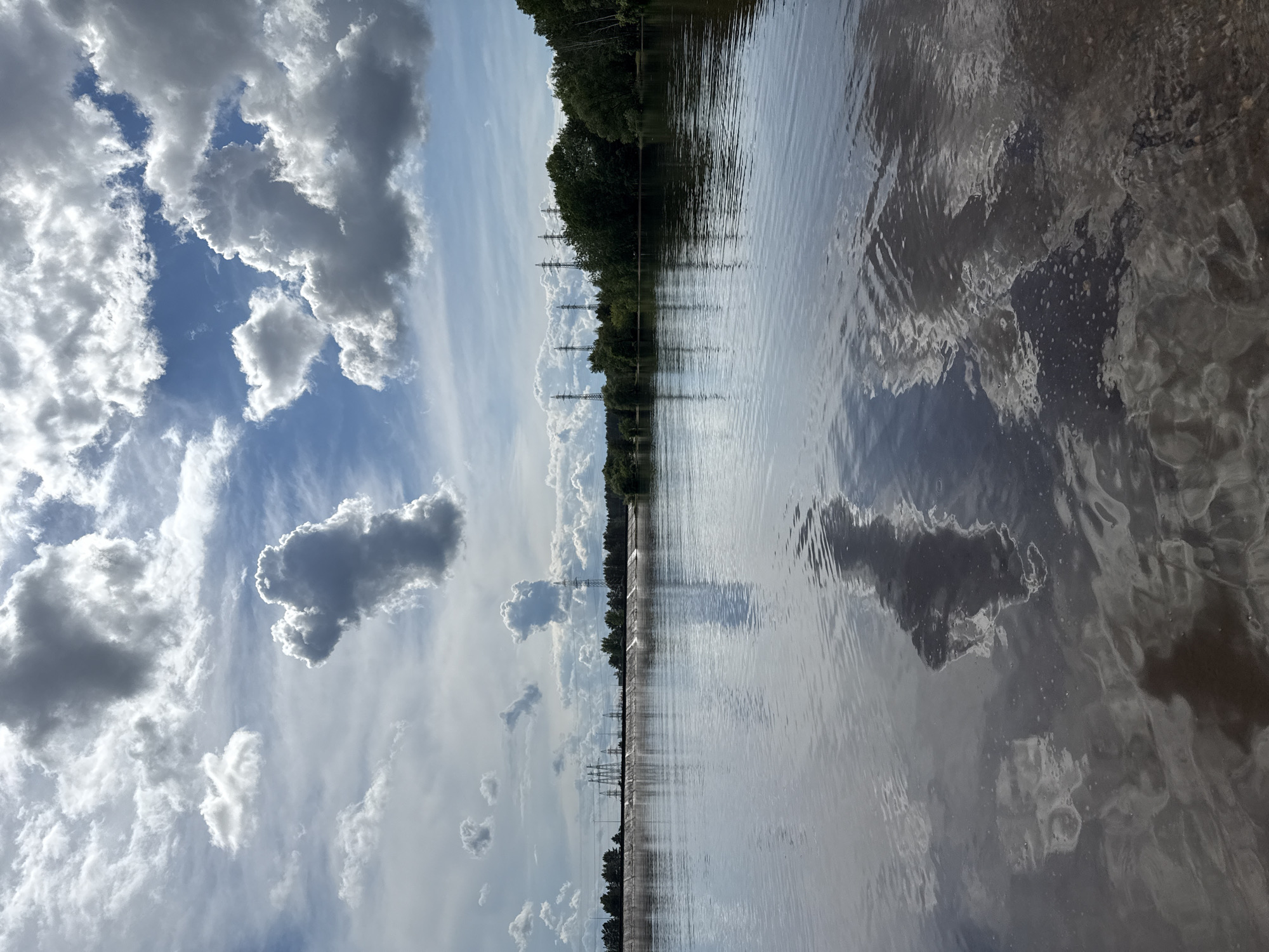 The image depicts a serene waterscape in Noviy, Russia. The sky is filled with puffy, white clouds, juxtaposed against a clear blue backdrop. The reflection of the clouds, sky, and trees is visible in the body of water, a river or lake, creating a mirror-like effect. Along the shoreline are tall, leafy trees, interspersed with utility poles, running along the bank. The water's surface is textured with gentle ripples, distorting the reflected images. There are no visible people or direct interactions captured in the frame.