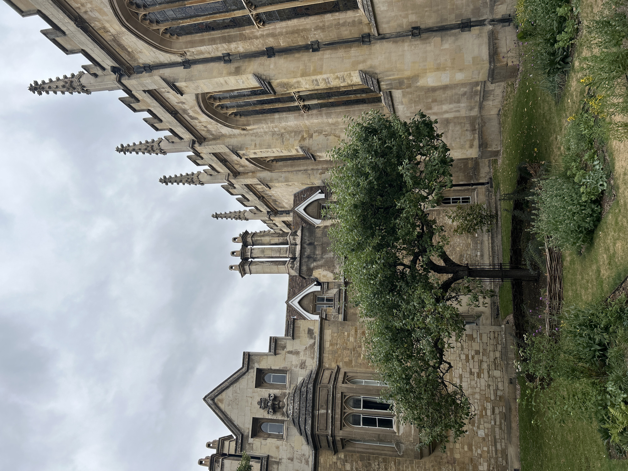 The image depicts a serene courtyard with classic British architecture and a lush garden. The dominant structure is a large, old building constructed from stone, featuring intricate Gothic detailing such as pointed arches on the windows, finials, and crenellations along the roofline. The building's facade is a warm, weathered yellow stone, indicating age and likely historical significance. Several chimneys are visible on the roof, adding to the traditional aesthetic.
In the foreground, a mature, leafy tree stands prominently, its branches spread wide, creating a natural canopy. Beneath the tree and surrounding it, a well-maintained garden flourishes with a variety of green plants, some with small flowers, and a low, woven fence delineates a section of the garden. The ground is covered in a carpet of green grass, dotted with fallen leaves, suggesting a late spring or summer day. The sky above is overcast, with diffused light casting a soft glow on the scene.
The architectural style and the presence of a walled garden are characteristic of the historic colleges and institutions found in the city of Cambridge, United Kingdom. The building's style strongly suggests it is part of one of these esteemed academic establishments. The overall atmosphere is one of quiet tranquility and timeless beauty, typical of Cambridge's renowned quadrangles. There are no people visible in the image.