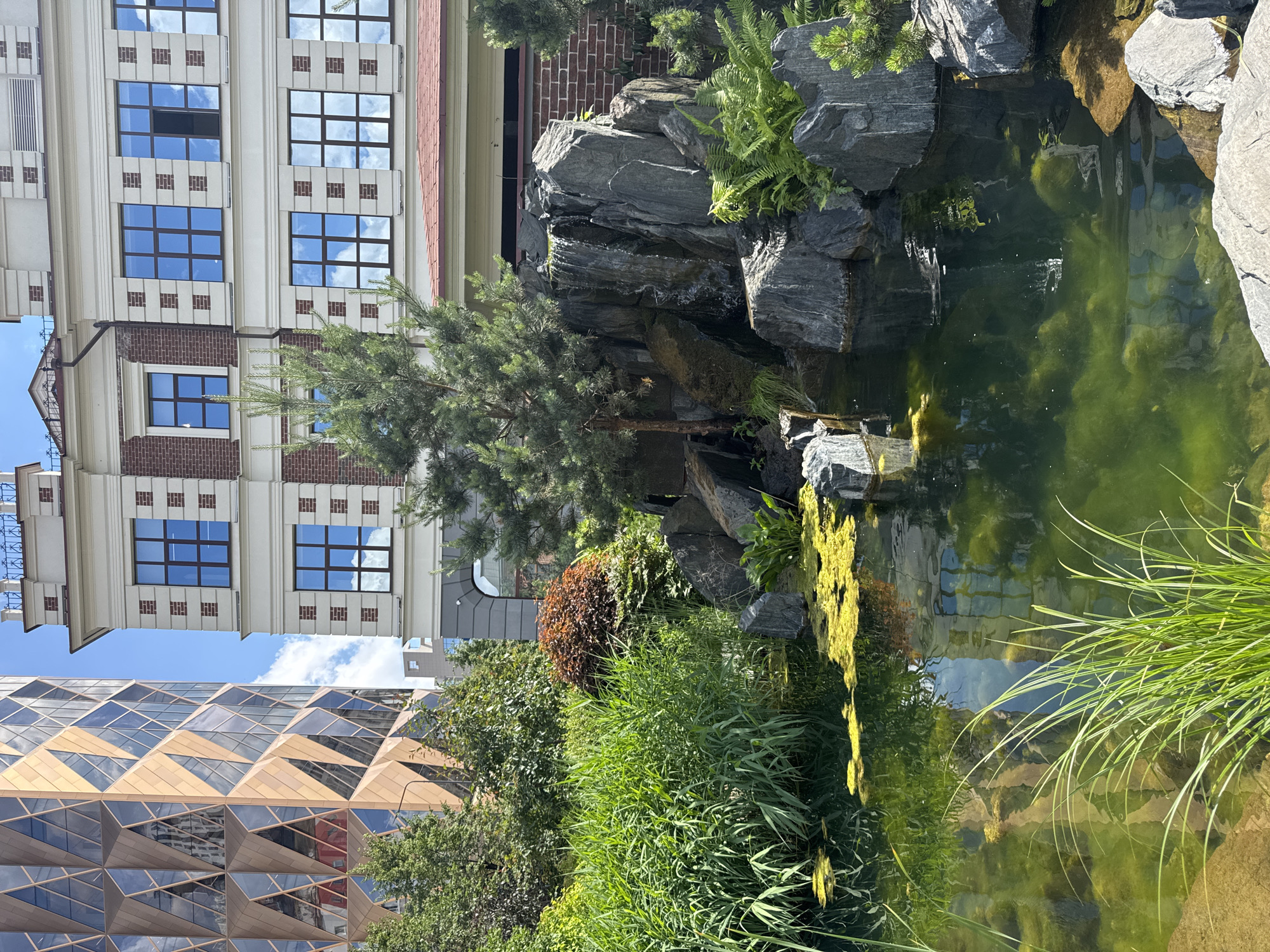 The image depicts a serene pond with lush greenery surrounding it, set against a backdrop of modern and historic architecture. The pond's surface is partly covered with vibrant green algae, and tall reeds grow along its edges. A small waterfall cascades down a rock formation in the center of the scene, adding to the tranquil atmosphere. In the background, a contemporary building with a distinctive geometric facade stands next to a more traditional brick building with large, reflective windows. The sky above is a clear blue with a few scattered clouds. This scene is located in Yekaterinburg, Russia, specifically at the UMMC Museum Complex. The UMMC Museum Complex is known for its eclectic architectural style, blending various historical and modern designs, and this particular view showcases its beautifully landscaped grounds and water features. There are no people or animals visible in the image.