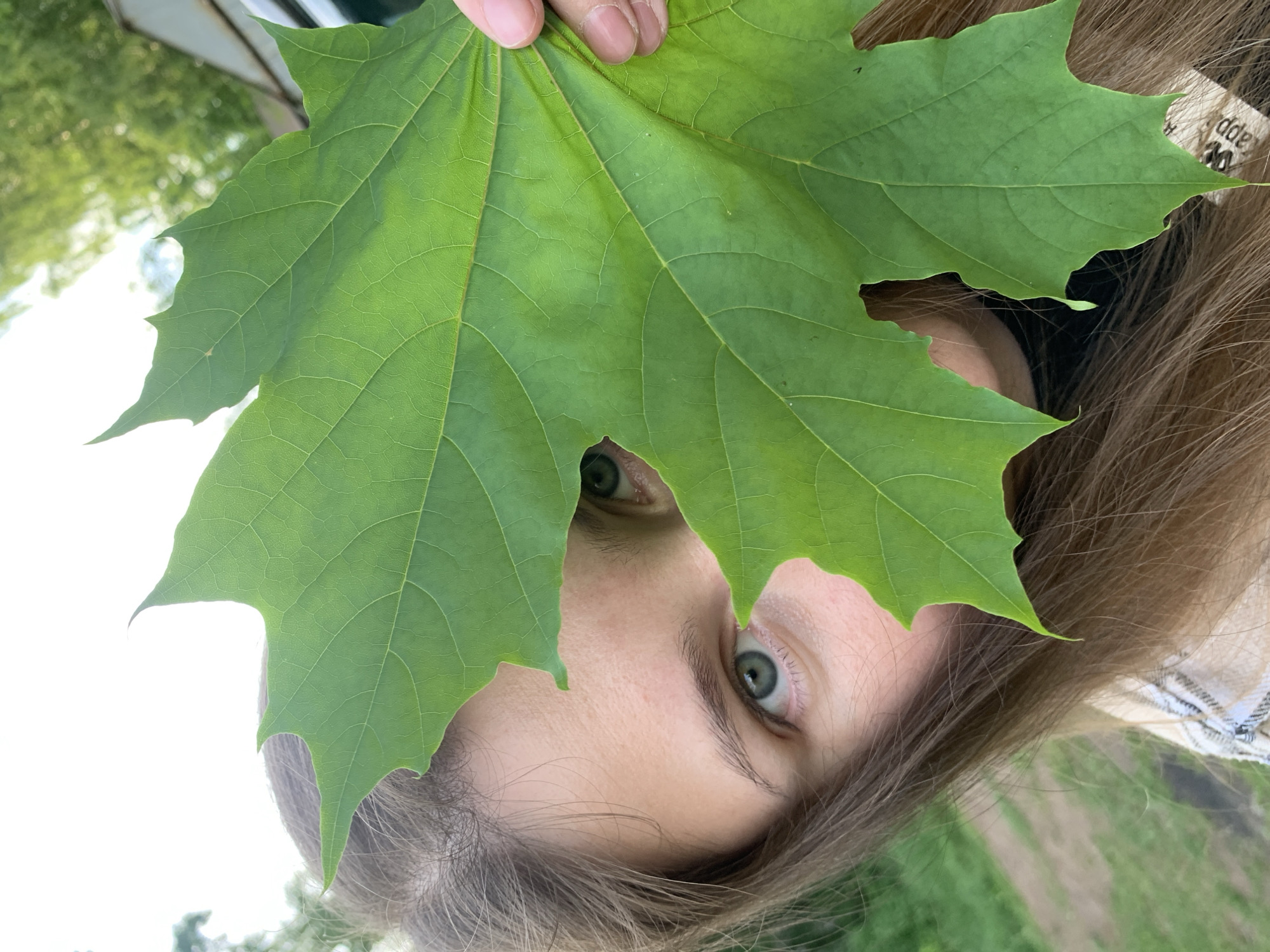 A woman's face is partially obscured by a large green maple leaf held up in front of her face. Only her eyes, part of her forehead, and the lower portion of her face are visible. She has light skin, brown hair, and blue-green eyes. The background is out of focus, showing a grassy area and possibly some trees. The image is taken from a slightly low angle and the subject and background seem to be illuminated by natural daylight. There is no explicit evidence to determine that the picture was taken in the city of Chaikovsky, Russia.