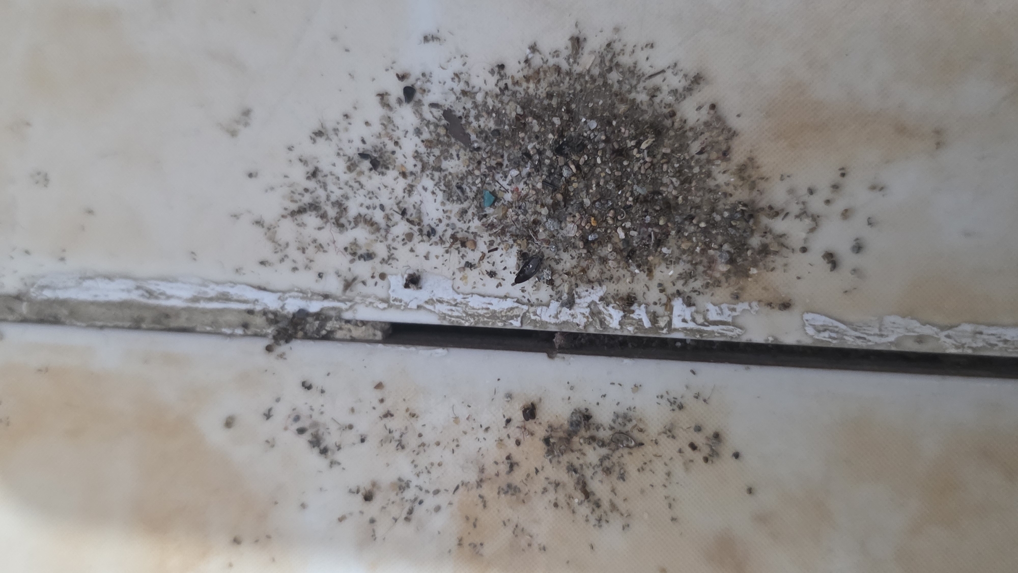 The image shows two light-colored tiles with a dark grout line between them. The tiles appear dirty and stained, with peeling white material near the grout. On both tiles, there are accumulations of debris consisting of dark-colored particles, small stones, and other unidentifiable materials. The scene appears to be indoors and possibly a floor surface. The image was taken at ground level, without any sign of people or other animals. The location is Lhokseumawe, Indonesia.