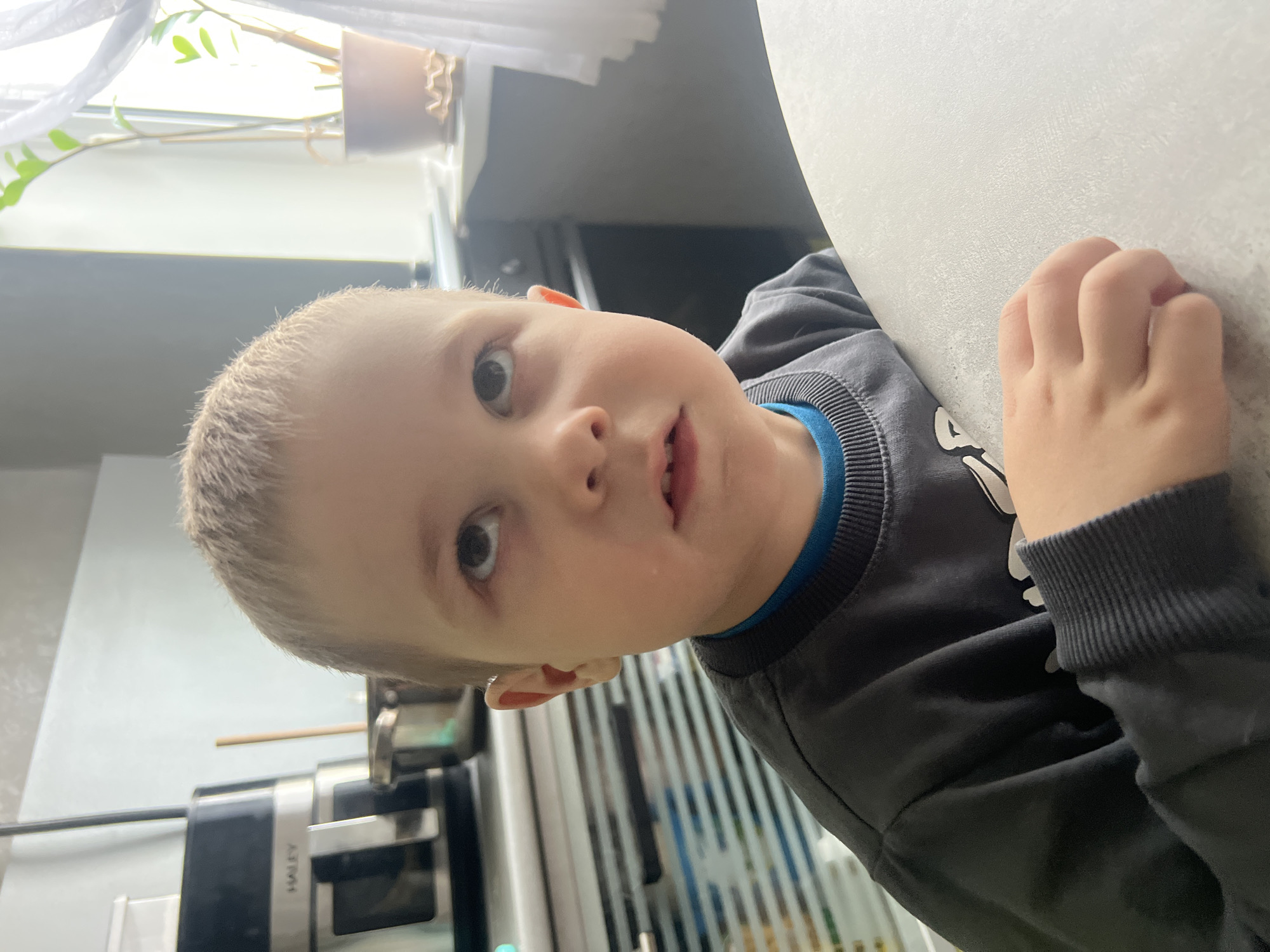 The image presents a candid portrait of a young child, likely a boy, peering over a white table or counter. The child has light blond hair, fair skin, and wide, dark eyes looking directly into the camera with a curious, slightly open-mouthed expression. He is dressed in a dark grey long-sleeved sweatshirt, with a blue collar visible underneath. His right hand is seen grasping the edge of the white surface.
The setting is an indoor space, characteristic of a domestic environment such as a kitchen or dining area in Chaikovsky, Russia. Natural daylight streams in from a window located in the background, partially covered by a white translucent curtain or sheer fabric. A potted plant with green leaves is positioned near the window. To the lower left, a dark-colored kitchen appliance, possibly a coffee machine, with metallic details and the brand name "HALEY" visible on its side, is partially in view. Further in the background, vertical blinds or similar window coverings can be discerned. The image is rotated 90 degrees counter-clockwise, suggesting it was captured with the camera held sideways. The time of day appears to be daytime, indicated by the natural light.