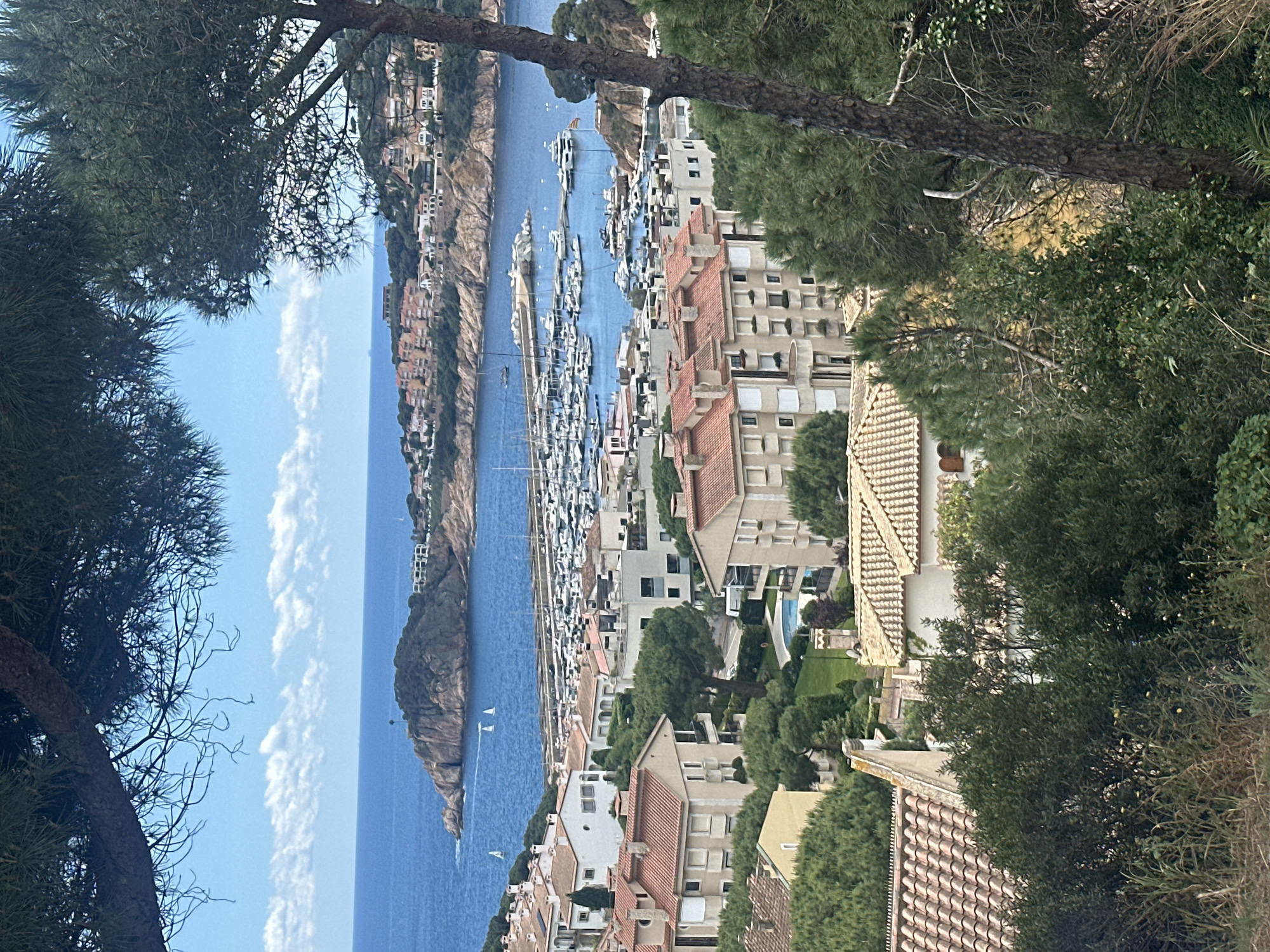 Captured from an elevated vantage point, the scene presents a coastal view in Sant Feliu de Guíxols, Spain. The image is divided into three primary sections: sky and sea, the marina, and residential areas. The sky features scattered cumulus clouds over the blue water. The marina is populated with numerous docked boats, both sailboats and motor yachts. The foreground is dominated by residences, distinguished by their light-colored facades and terracotta roofs, set among green trees and landscaping. The photo is partially obscured by trees in the immediate foreground, providing a framed effect.