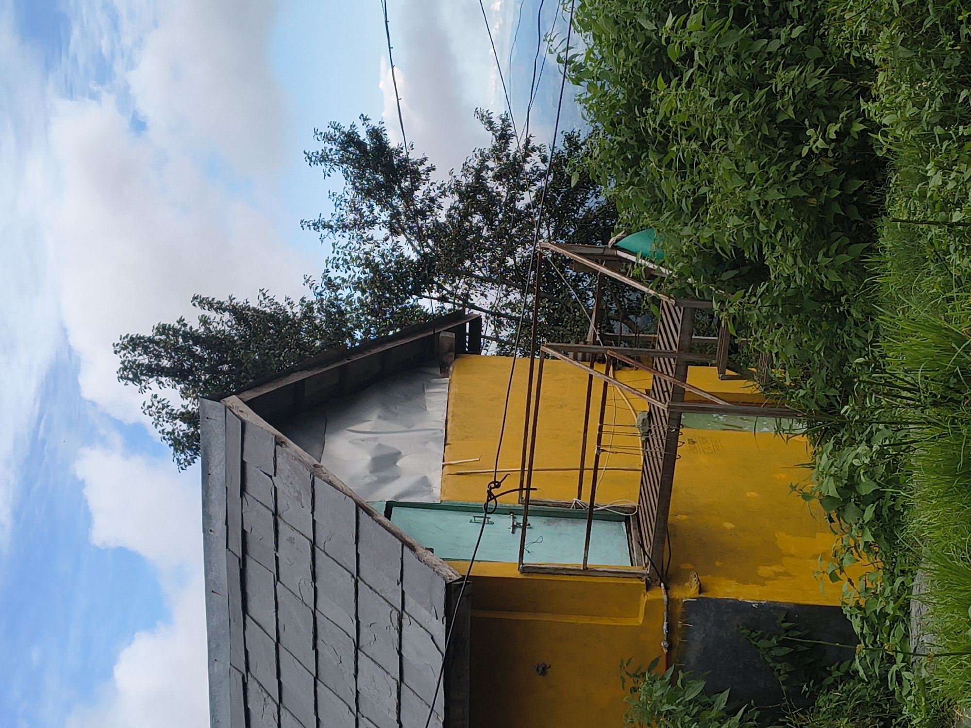 The image depicts an outdoor scene with a two-story building as the central focus. The building has a yellow-painted lower story and a dark gray, slate-tiled roof. A blue door is visible on the upper level, with a metal staircase leading up to it. Lush green vegetation, including trees and grass, surrounds the structure. The sky is partly cloudy with a mix of blue and white clouds. The overall impression is that of a dwelling in a rural or semi-rural setting, possibly in a mountainous region, given the distant hazy landscape visible behind the trees. The image was taken in Haini, India. There are no people or animals visible in the frame. The scene appears static and peaceful, with no discernible actions or interactions taking place.
