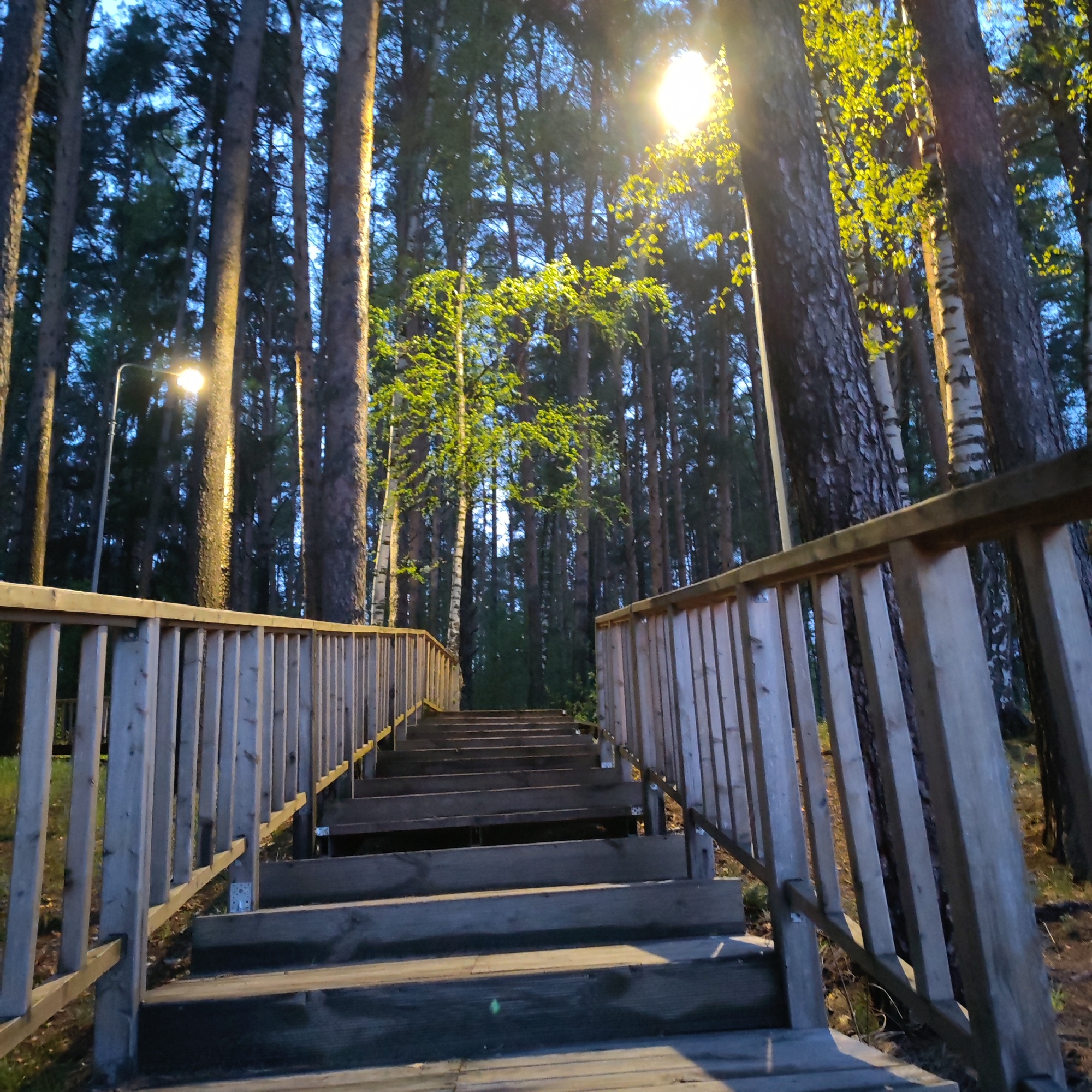 A low-angle, long shot captures a wooden staircase ascending through a forest landscape in Chaikovsky, Russia. The staircase, flanked by wooden railings, leads upwards into a dense wooded area. Tall trees frame the scene, with the light shining through the foliage. Streetlights illuminate the area. The overall ambiance suggests it is either dusk or dawn. The image contains no identifiable people.