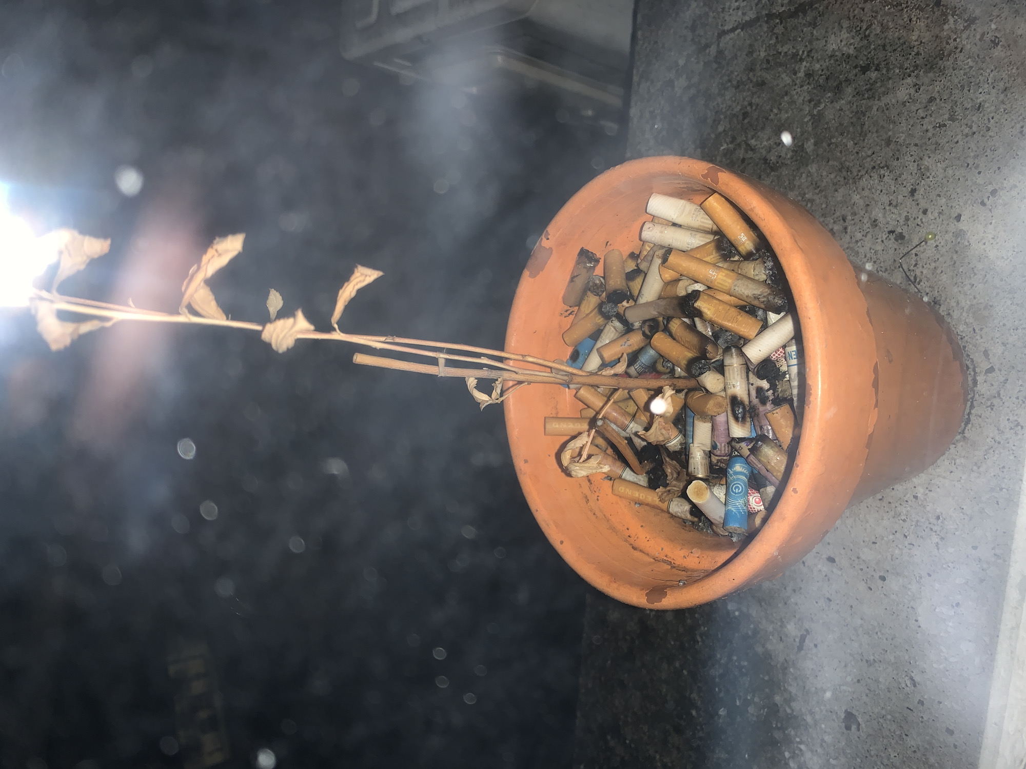 The image depicts a terracotta flower pot filled with discarded cigarette butts and a dead plant stem. The pot sits on a grey, somewhat reflective surface. The background is dark and indistinct, suggesting an indoor setting or a dimly lit outdoor area. There are no people visible in the image. The location is not discernible from the visual information provided.