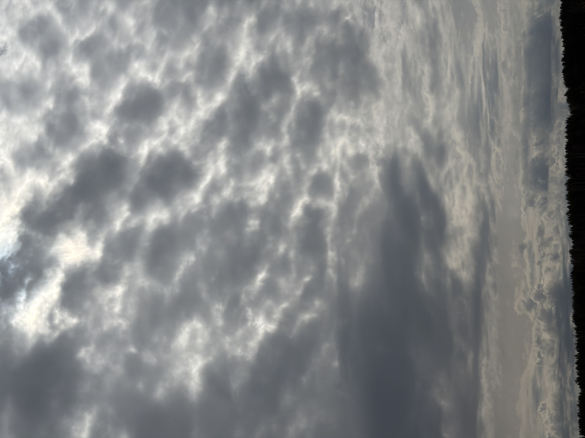 The image shows a cloudy sky. The clouds are mostly gray and white, with some darker areas. There are also some trees visible along the right side of the image. The photograph was taken outdoors. There are no people visible in the image. There is no information provided that confirms that it was taken in the city of Chaykovsky, Russia.