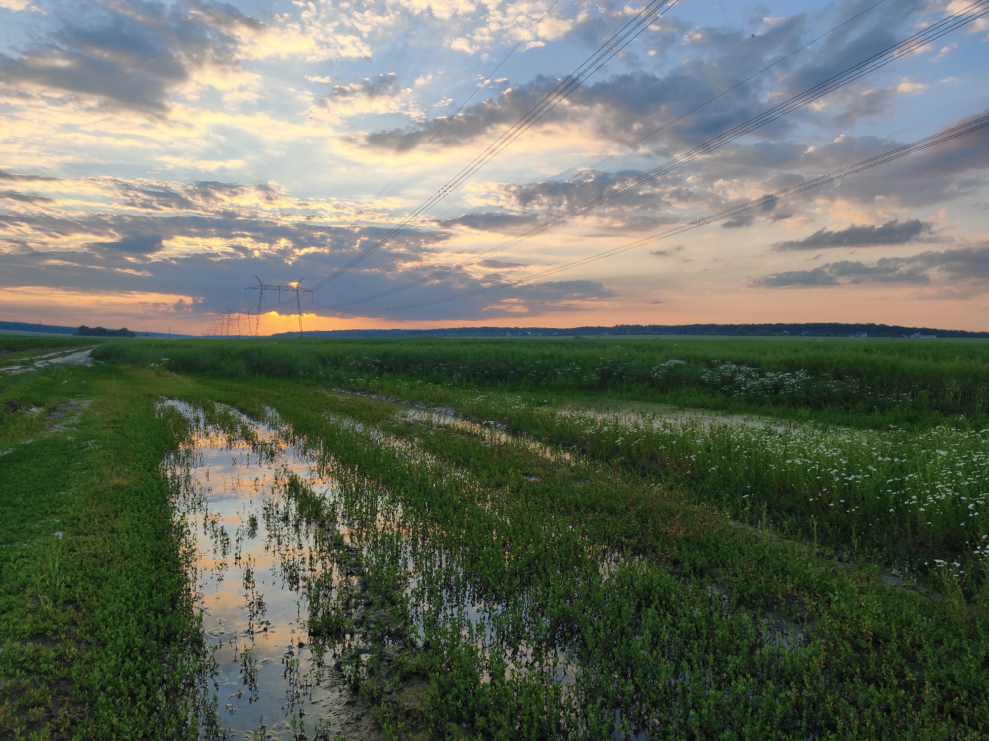 The image depicts a wide, grassy field at sunset, with a distinct line of power transmission towers stretching across the horizon. The sky is a gradient of warm oranges and soft blues, filled with scattered clouds that are catching the last rays of sunlight. In the foreground, a muddy track has collected rainwater, creating puddles that reflect the colorful sky and surrounding vegetation. The field is lush and green, with patches of small white flowers visible in the distance. The scene is serene and natural, suggesting a rural or semi-rural setting. The location is identified as Yemelivka, Ukraine, which is a village in the Cherkasy Oblast.