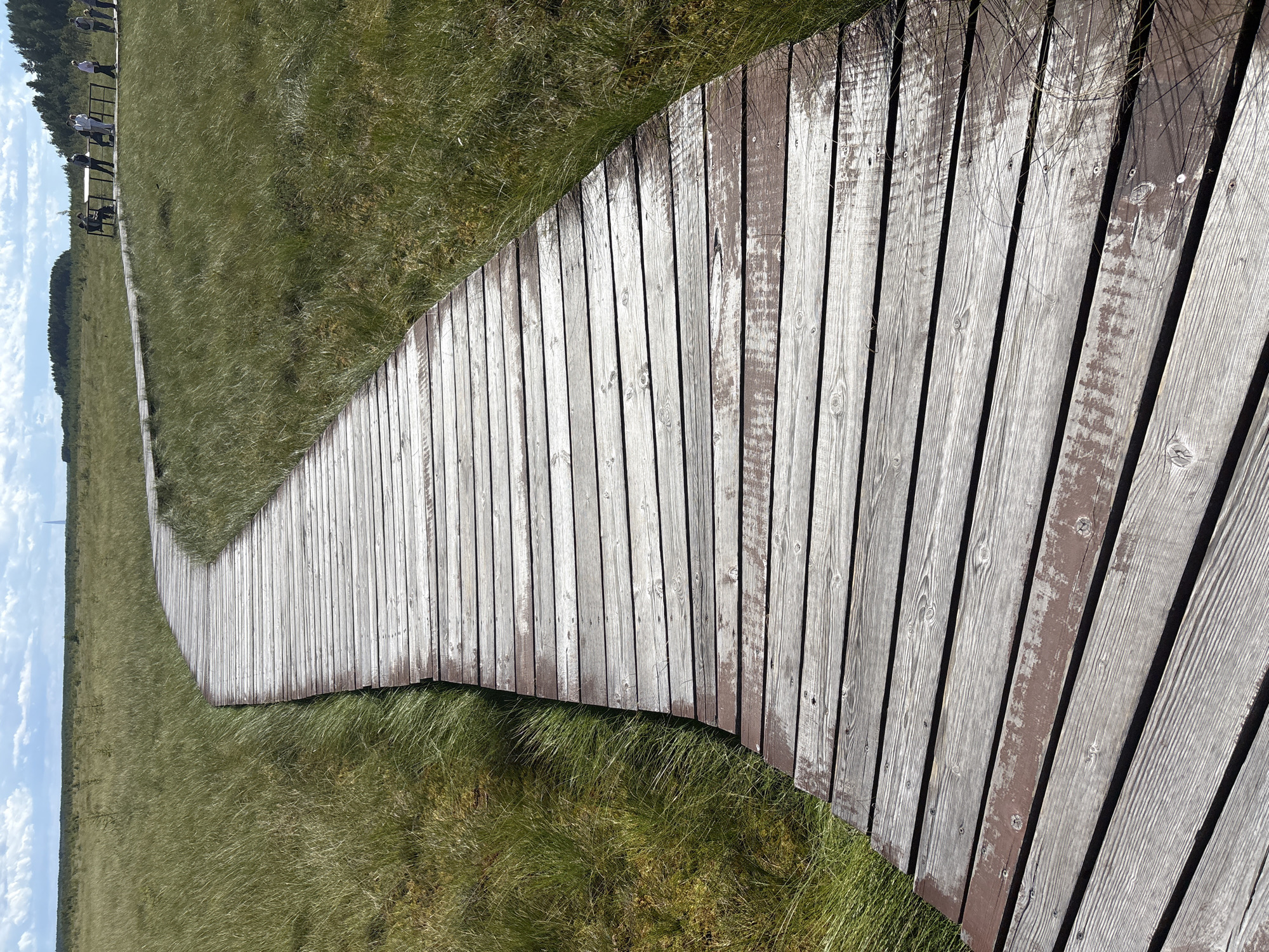 The image shows a wooden boardwalk curving through a grassy landscape under a bright sky with scattered clouds. The boardwalk is made of weathered wooden planks, some of which are painted a reddish-brown color, and others are weathered to a light gray. The grass is tall and appears somewhat wild, with some dry stalks mixed in. In the distance, on the left side of the image, a group of people can be seen walking along the boardwalk. They are silhouetted against the bright sky and appear to be enjoying the scenery. The scene suggests a natural park or a nature reserve, likely in a temperate climate, given the lush grass and the presence of trees in the far distance. The lighting indicates it is daytime, possibly late morning or afternoon, with the sun casting shadows that highlight the texture of the wooden planks. The overall mood is peaceful and serene, inviting exploration of the natural surroundings. The image is oriented vertically, giving a sense of depth and perspective as the boardwalk recedes into the distance.