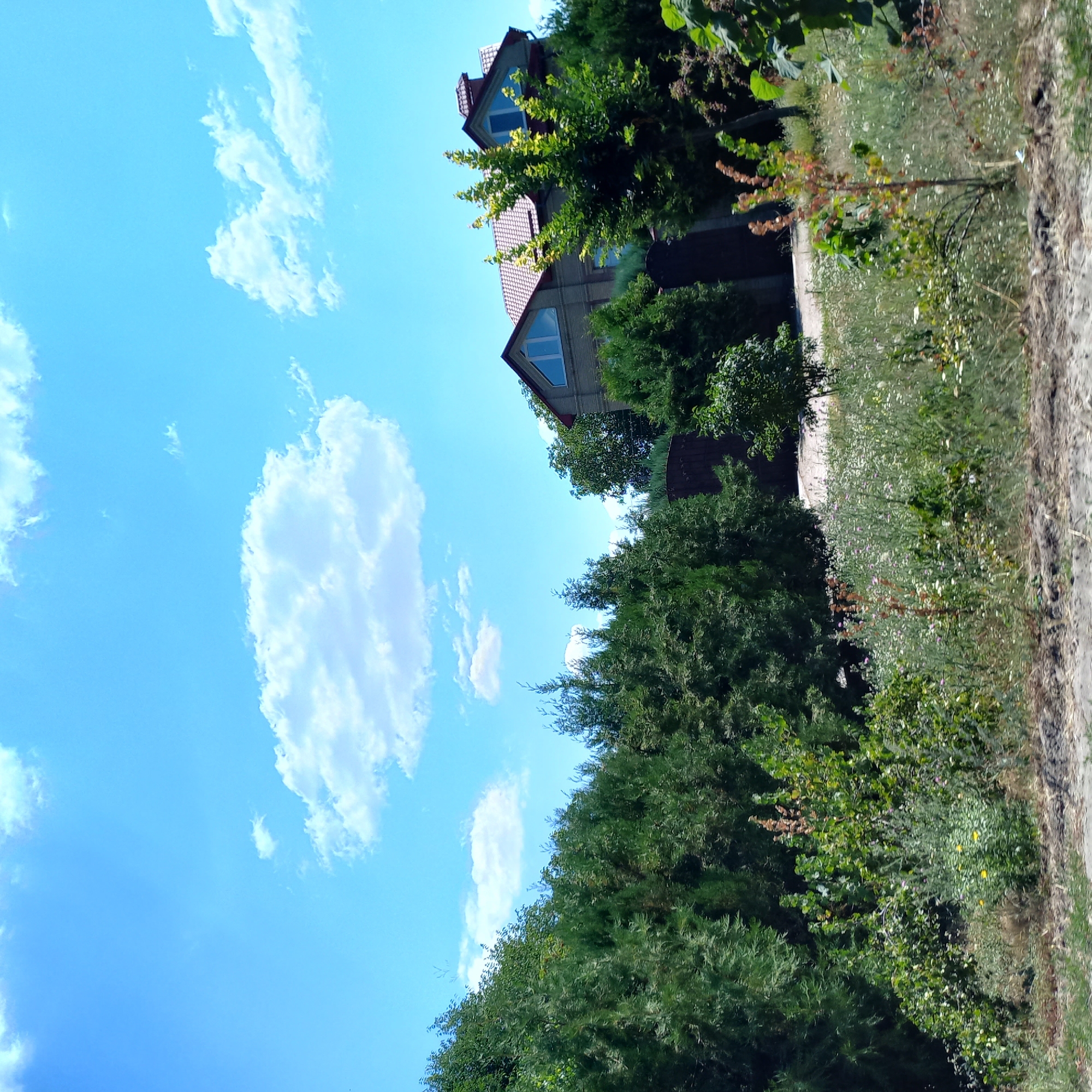 The image depicts a residential property in Kropyvnytskyi, Ukraine, on a bright, sunny day with a clear blue sky dotted with fluffy white clouds. The foreground is dominated by lush green trees and foliage, including what appear to be cypress trees or similar coniferous evergreens, and some deciduous bushes with small flowers. A sloped grassy area with wildflowers is visible between the dense greenery and the building.
In the background, a two-story house with a red tiled roof is partially visible, featuring an A-frame window on the upper level. The house is constructed of brick or stone. To the right of the house, a tall evergreen tree stands, and further to the right, glimpses of more trees and foliage can be seen, suggesting a suburban or rural residential setting. There are no people or active processes depicted in the image. The overall scene is one of a well-maintained, natural environment surrounding a private dwelling.