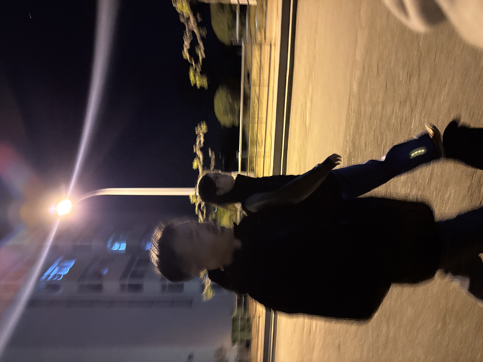 Scene: A nighttime street scene in Zhongtun, China.
People: Two individuals are visible. One person is carrying the other on their back.
Subjects: Street, streetlamp, building, trees.
Objects: Clothing, shoes.
Actions: Carrying.
Interactions: One individual is giving a piggyback ride to the other.
Environment: The scene is illuminated by a streetlamp. A building is visible in the background. Trees line the street. The scene appears to be taken on a street in the city of Zhongtun, China.