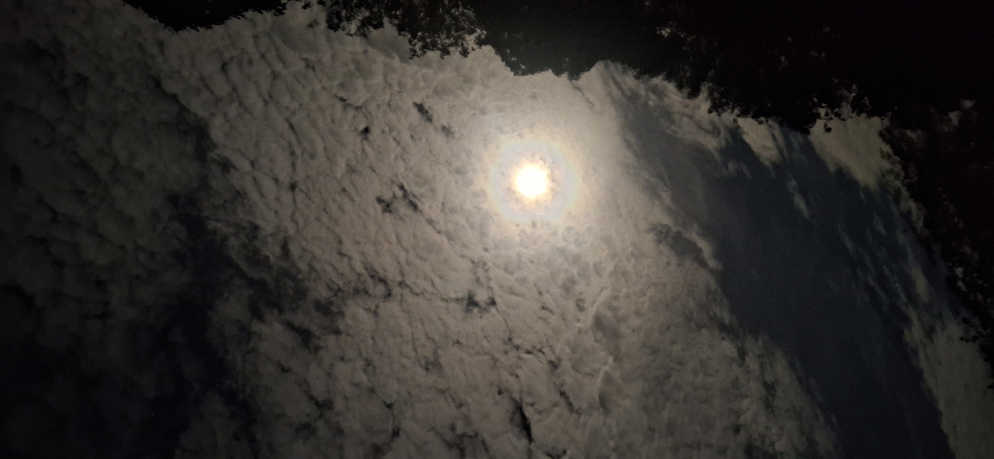 The image depicts a night sky with a bright moon surrounded by a halo. The sky is filled with textured, undulating clouds. Dark silhouettes of trees are visible at the top of the frame. The scene is a nighttime view of the sky with the moon shining through a cloudy atmosphere. There is no verifiable information to determine its location to Vallecito, Venezuela.