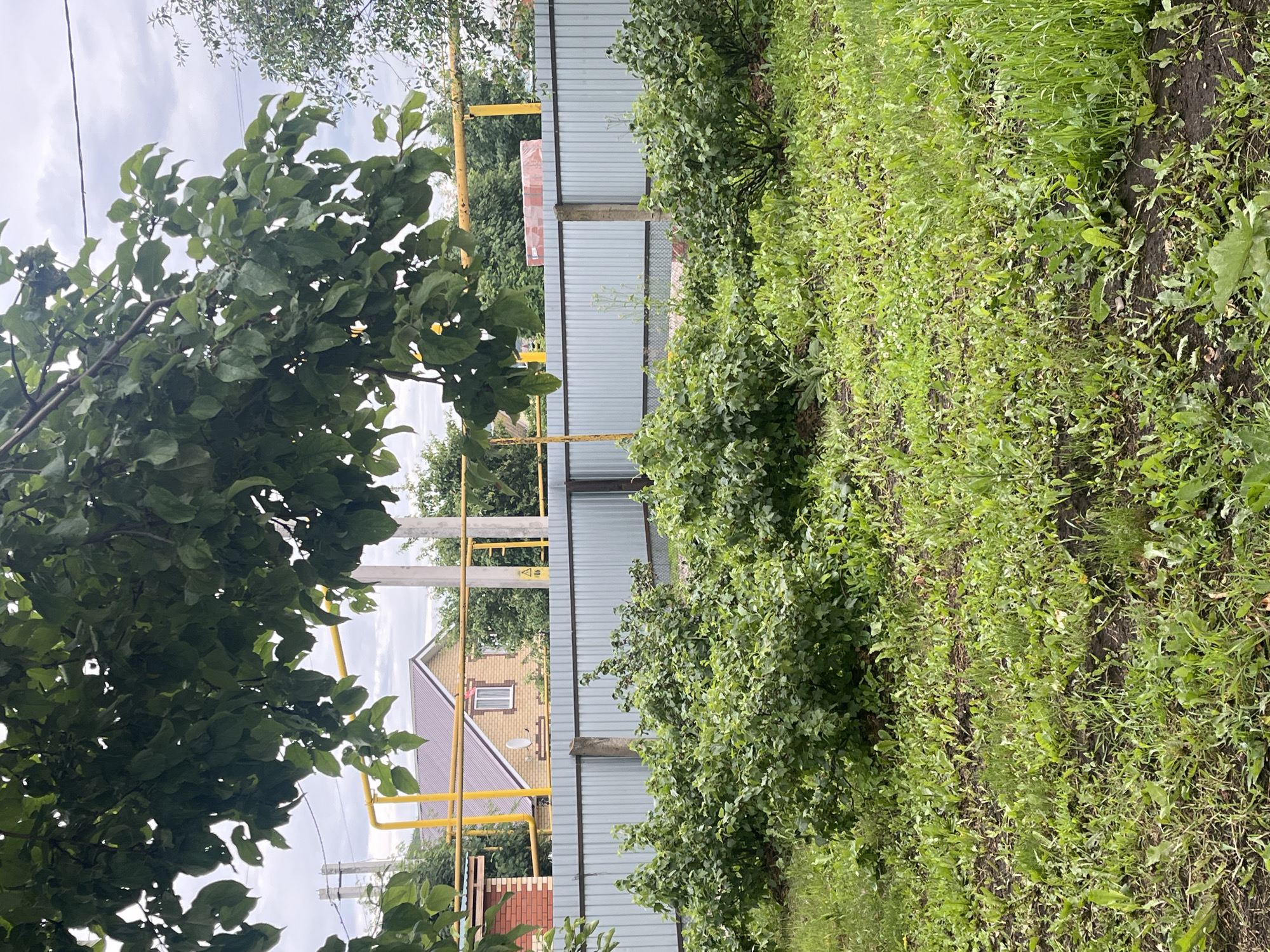 The image shows an outdoor scene in a rural or suburban setting, likely during the daytime with overcast skies. In the foreground, a large tree with green leaves partially obstructs the view. Beyond the tree, a yellow metal fence or scaffolding runs vertically through the image. Behind this structure, a house with a beige brick exterior and a brown roof is visible. The house has at least one window and a satellite dish. Adjacent to the house and extending to the right of the frame is a long, gray, corrugated metal fence. To the far right of the image, a strip of overgrown green grass and soil is visible, suggesting a garden or unkempt lawn. The overall impression is one of a residential property with landscaping and construction elements. There is no visible text in the image.