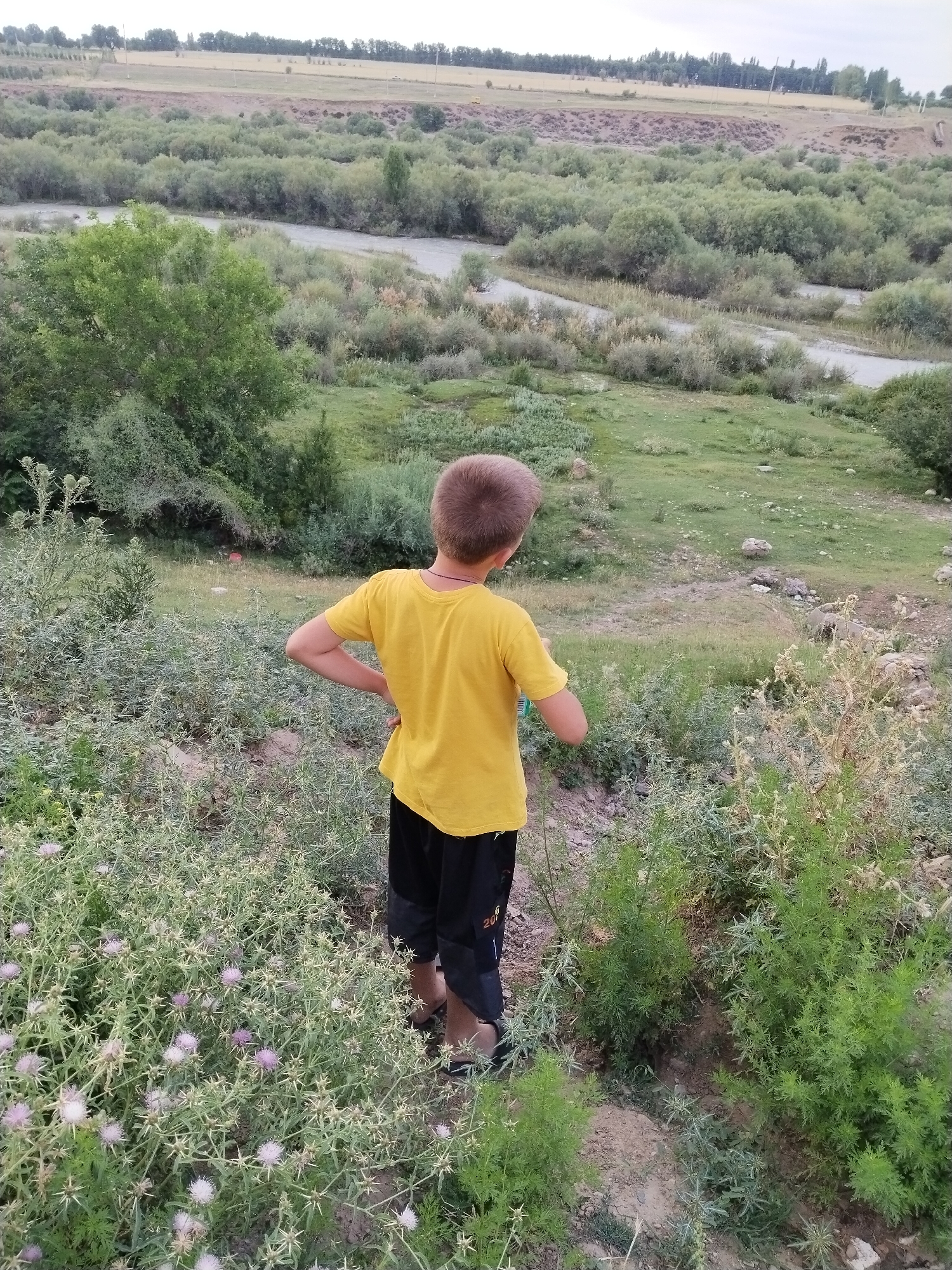 A young boy, viewed from behind, stands in a natural setting. He is wearing a yellow t-shirt and black shorts. His left hand is on his hip. The boy is surrounded by lush greenery, including thorny plants with small purple flowers. In the background, a river flows through a landscape dotted with bushes and trees. Further in the distance, a field and more trees are visible under a cloudy sky. The scene appears to be a rural or semi-wild area. There is no discernible activity or event taking place, the boy seems to be observing the landscape. The time of day appears to be daytime, with overcast weather. Visible text includes the number "20" on the boy's shorts.