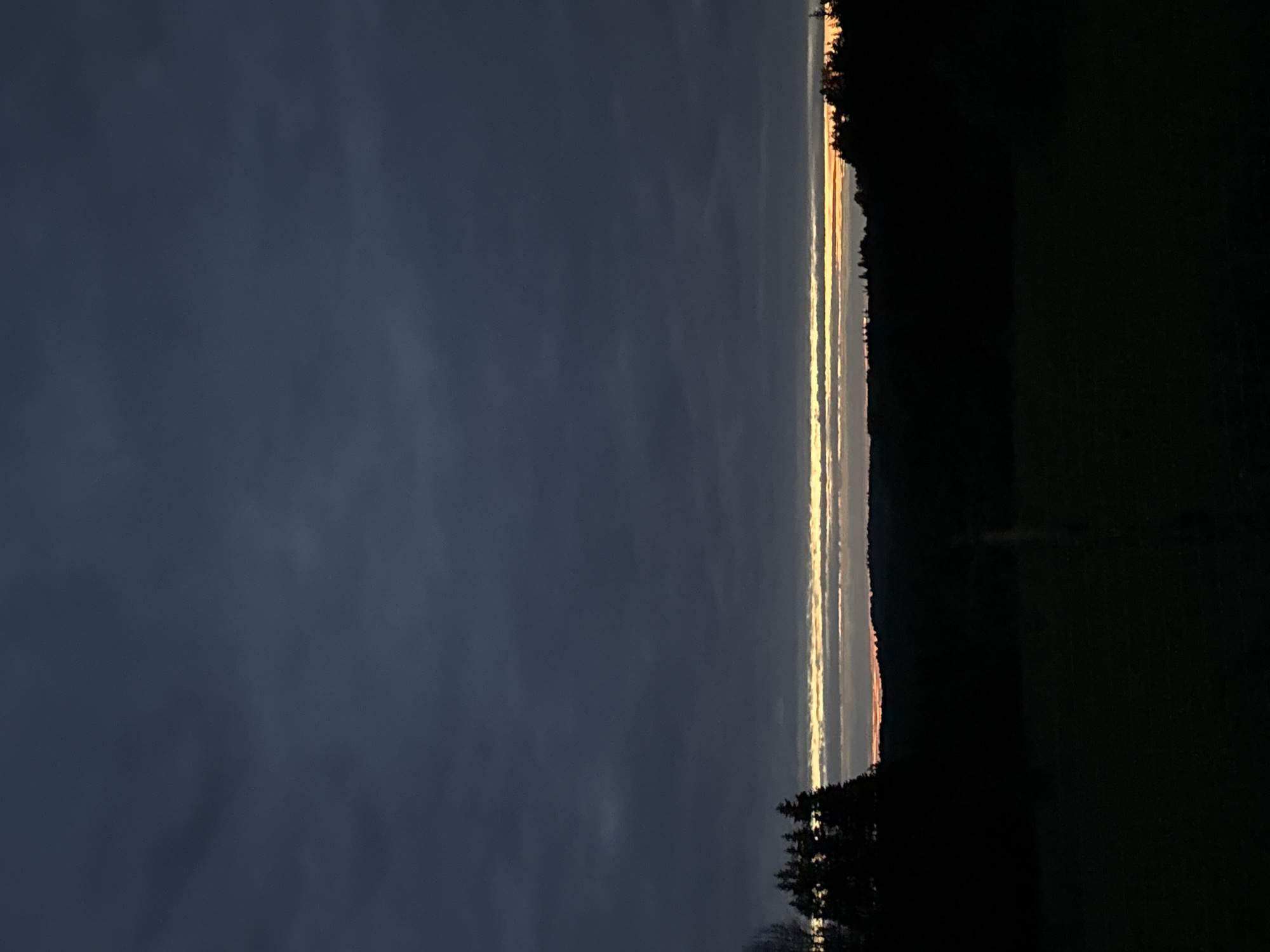 An outdoor landscape photograph captured in Большая Кивара, Russia, at twilight or dawn. The upper two-thirds of the image depict a dark, overcast sky dominated by dense, stratified clouds in shades of slate grey and dark blue-grey. Near the horizon, a narrow band of light is visible, comprising several distinct horizontal layers. The uppermost layers are pale yellow and off-white, transitioning downwards into a brighter orange and reddish-orange strip, indicating the position of the sun just below the horizon.
Below this luminous band, the midground consists of a dark, undifferentiated silhouette of a distant treeline or low hills. The foreground, occupying the lower third of the image, is extremely dark, appearing almost black. On the left, a cluster of silhouetted evergreen trees stands prominent, with faint outlines of bare deciduous branches visible further left. On the right, more dark tree silhouettes extend across the frame, merging with the distant landscape. The immediate foreground appears to be a field or open ground, rendered in deep shadow with no discernible detail. A faint, slender vertical element, possibly a fence post or thin tree trunk, is minimally visible near the lower center. No people, animals, or specific actions are identifiable within the scene.