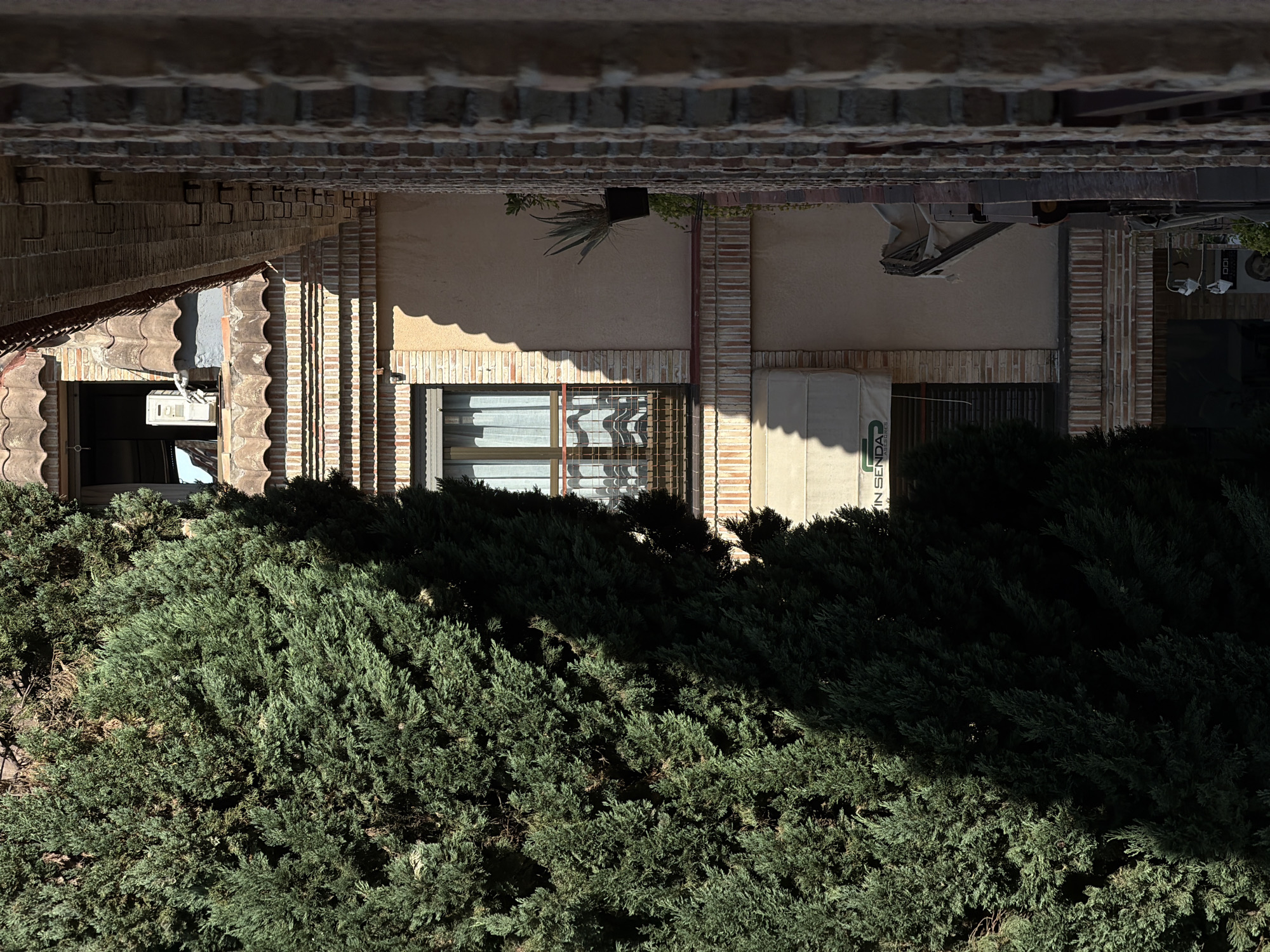 The image shows a close-up of a large evergreen tree in front of a building. The building has several windows, some with curtains visible, and a tiled roof. There are also brick accents on the building's facade, and a row of brick columns on the right side of the image. A shadow from the tree falls across the building, partially obscuring a window and part of the wall. The tree is dense and appears to be a cedar or cypress. The lighting suggests it is daytime, with strong sunlight casting sharp shadows. The scene is devoid of any people or discernible activity. The image appears to be taken in an urban or suburban environment. While there is no specific visual indicator of the location being Las Rozas de Madrid, Spain, the architectural style and vegetation are consistent with the region.