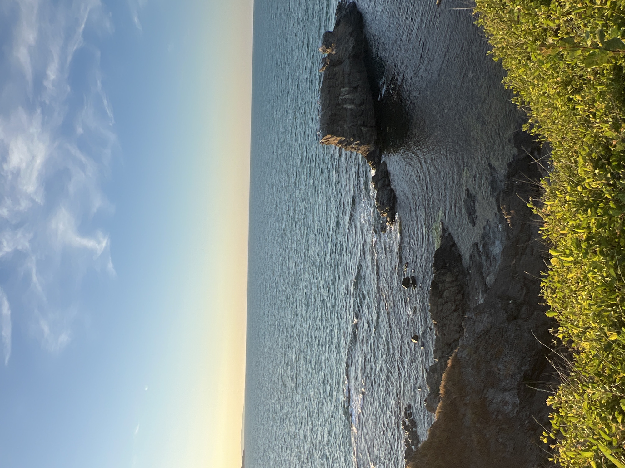 The image depicts a tranquil seascape at Sinemorets, Bulgaria. The foreground is dominated by lush green foliage, bathed in the warm glow of sunlight. Beyond the vegetation, a rocky coastline slopes down towards the dark, rippling water. Several dark rocks are scattered along the shore, with a larger rock formation jutting out into the sea in the mid-ground. The ocean stretches to the horizon, meeting a clear blue sky with a few wispy white clouds. The overall impression is one of natural beauty and serenity.