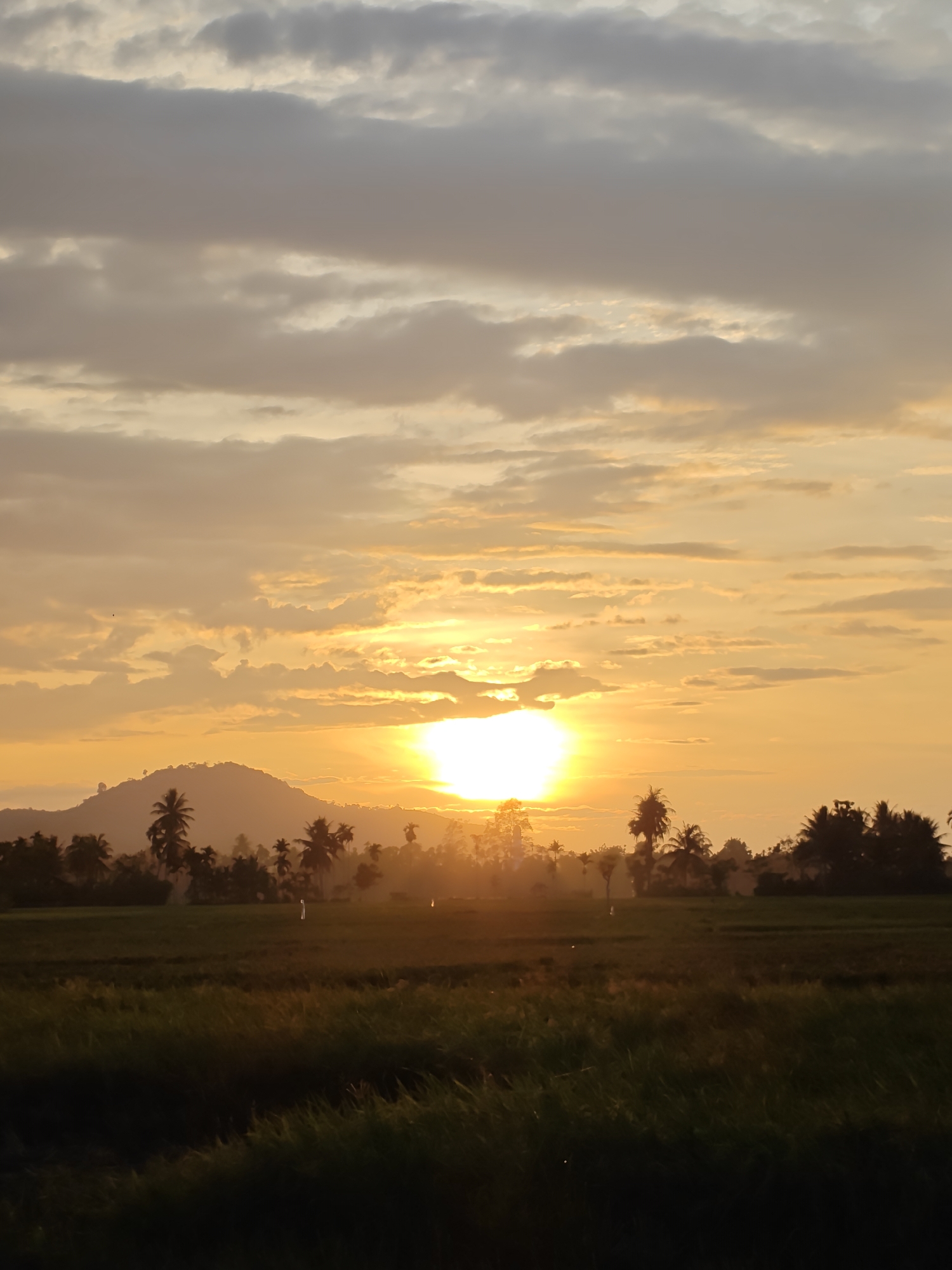 The image depicts a sunset in Meunasahalue, Indonesia. The sun is centrally positioned, partially obscured by clouds, casting a bright orange glow across the sky. Below the sun, there is a silhouetted landscape with a low mountain and scattered palm trees. The foreground features a field, likely a rice paddy, with dark green vegetation. The overall lighting suggests either early morning or late evening. No people are visible.