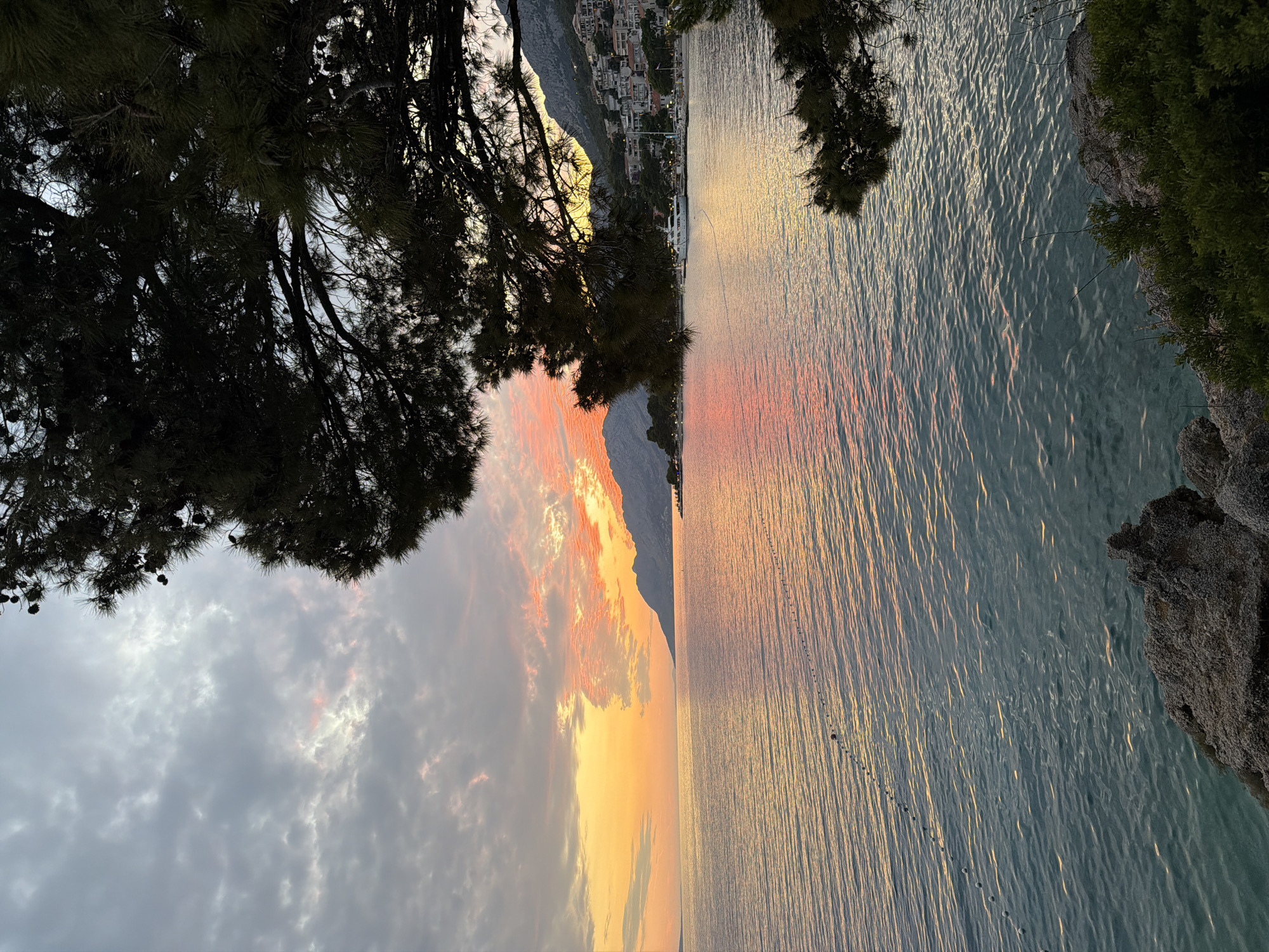 A vertical shot captures a sunset over the Adriatic Sea in Općina Brela, Croatia. The sky is a dramatic canvas of orange and pink clouds, contrasting with the deep blue of the water, which is rippled and reflecting the colorful sky. In the distance, a mountainous coastline is dotted with buildings, suggesting a coastal town. A large pine tree's dark branches frame the upper right portion of the image, casting shadows and adding depth to the scene. The foreground shows a rocky shoreline with some green foliage. A string of buoys marks a boundary in the water, and a yacht is visible in the bay. The overall atmosphere is serene and picturesque, typical of a Mediterranean sunset.