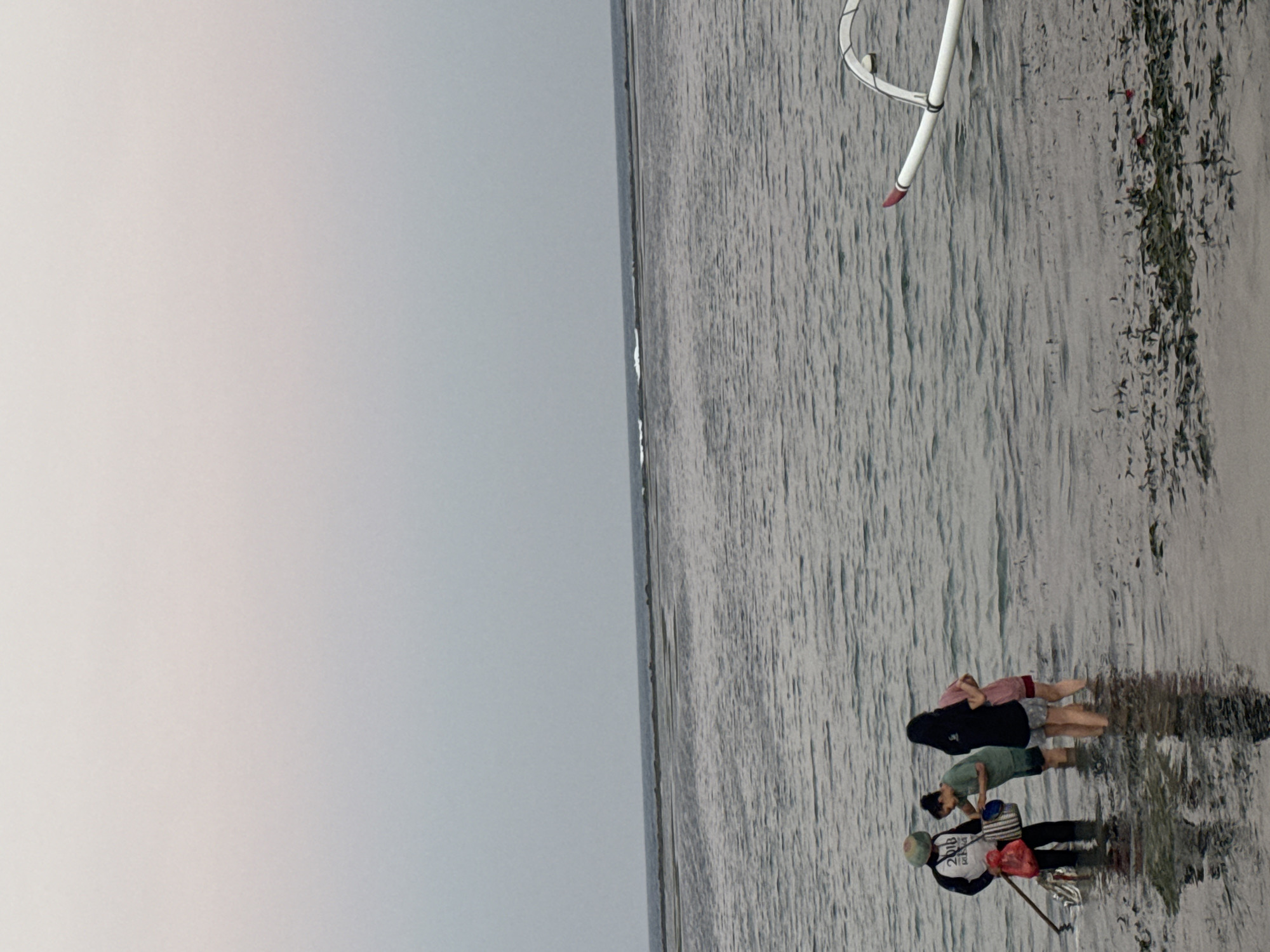 The image shows a group of four people wading in shallow water near the shore of a beach. The sky is overcast, with a gradient of pale pink and gray. The water is calm, with gentle ripples and some patches of seaweed visible on the sandy bottom. In the foreground, on the right side, the outrigger of a traditional Indonesian boat is partially visible. The boat is white with a red tip.
The group of people consists of three adults and one younger person. One adult, wearing a hat, a long-sleeved shirt with text, dark pants, and holding a long pole and a red bag, appears to be the most central figure. Next to them, a person in a green t-shirt and shorts is leaning over a basket. Another person, wearing a black t-shirt and patterned shorts, is facing away from the camera, and a fourth person, in a pink t-shirt and shorts, is also facing away and partially obscured. They appear to be engaged in an activity related to collecting something from the water, possibly shellfish or seaweed.
The environment suggests a coastal setting, likely a beach in or near Denpasar, Indonesia, given the presence of a traditional outrigger boat. The time of day appears to be either early morning or late evening due to the soft, diffused light and the colors in the sky. The overall impression is one of a calm, everyday scene of local activity by the sea.