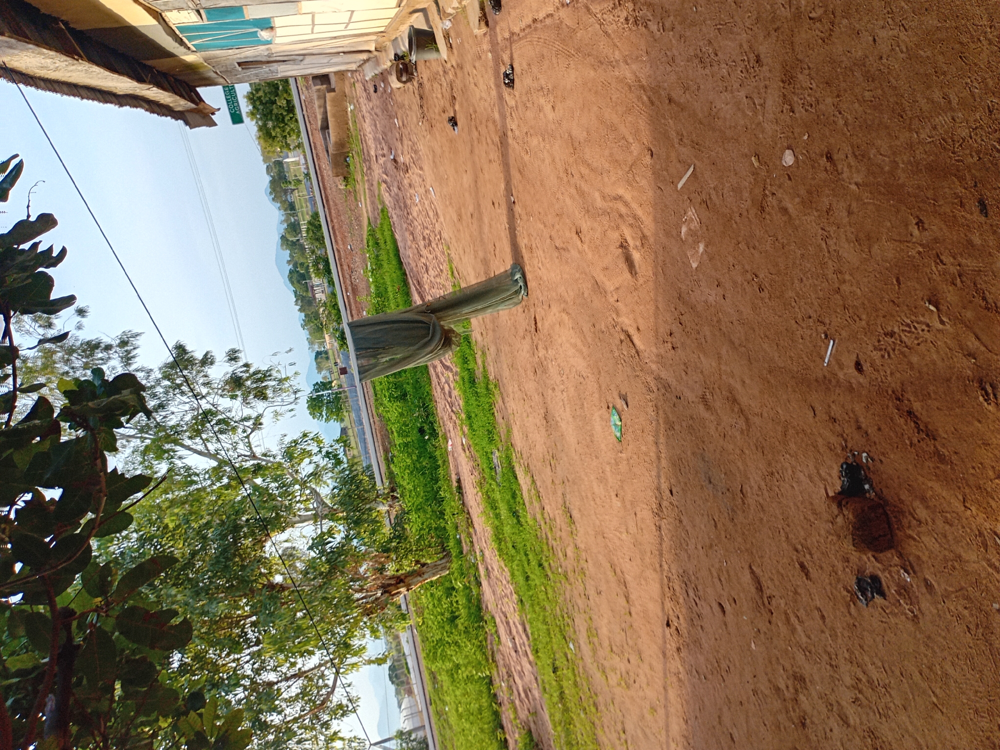 In an outdoor, dirt-and-grass area, a green cloth is draped over a thin pole. To the right of the cloth is a building with a corrugated metal roof and light-colored walls with turquoise windows. The ground is mostly dirt with patches of green grass. In the background, there are trees, hills, and a sign that reads "COLLEGE OF AGRICULTURE." The sky is overcast.