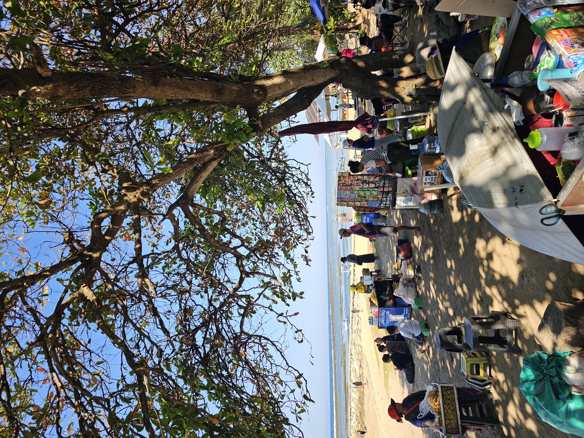 The image depicts a beach scene in Denpasar, Indonesia, likely Sanur Beach, on a sunny day. In the foreground, under the shade of a large tree, several vendors and beachgoers are present. A woman in a red hat sits by a cart filled with food, possibly snacks. Behind her, other people are seated on the sand or on small stools.
A stall with a variety of items, including packaged goods and what appears to be fruit, is set up. A sign on the stall reads "JAGUNG BAKAR" (Grilled Corn). People are gathered around this stall, some appearing to be customers or vendors.
Further back, the sandy beach slopes towards the ocean. The water is calm with a shallow reef visible in the distance. Several people are walking along the shoreline or wading in the water. Beach umbrellas and what appear to be small boats or buoys are scattered in the sea. The sky is clear and blue, indicating fair weather. The overall atmosphere suggests a casual beach day with local commerce integrated into the recreational space.