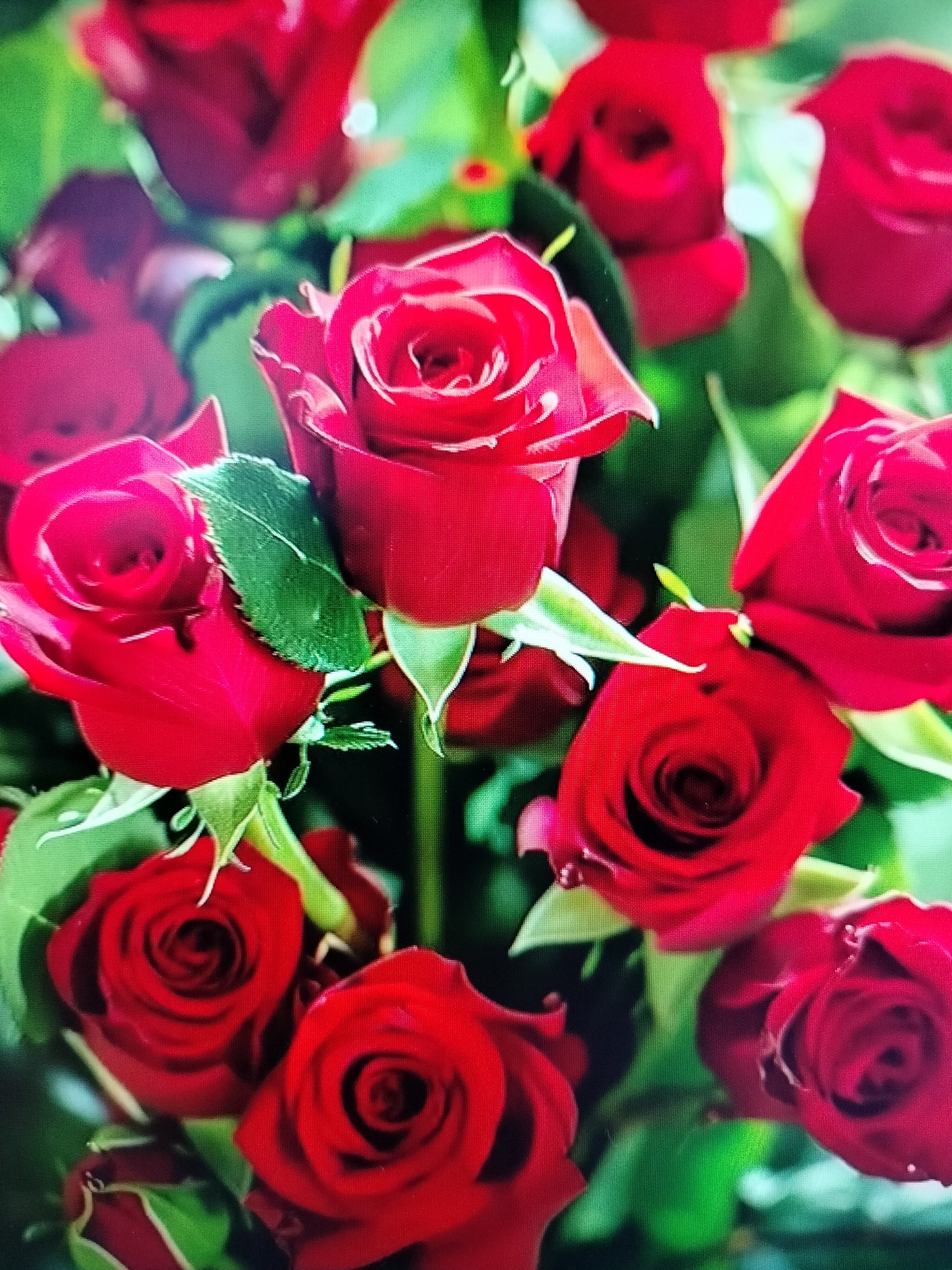 A close-up, high-angle, full-frame shot showcases a dense bouquet of vibrant red roses against a blurred green background. The roses, varying in stage of bloom, exhibit velvety petals and characteristic swirling patterns. Several green leaves are visible amongst the flowers, adding contrast to the dominant red hue. The lighting appears to be natural, casting soft shadows and highlighting the texture of the petals. The scene is devoid of any human presence or discernible location in Yashkino, Russia.