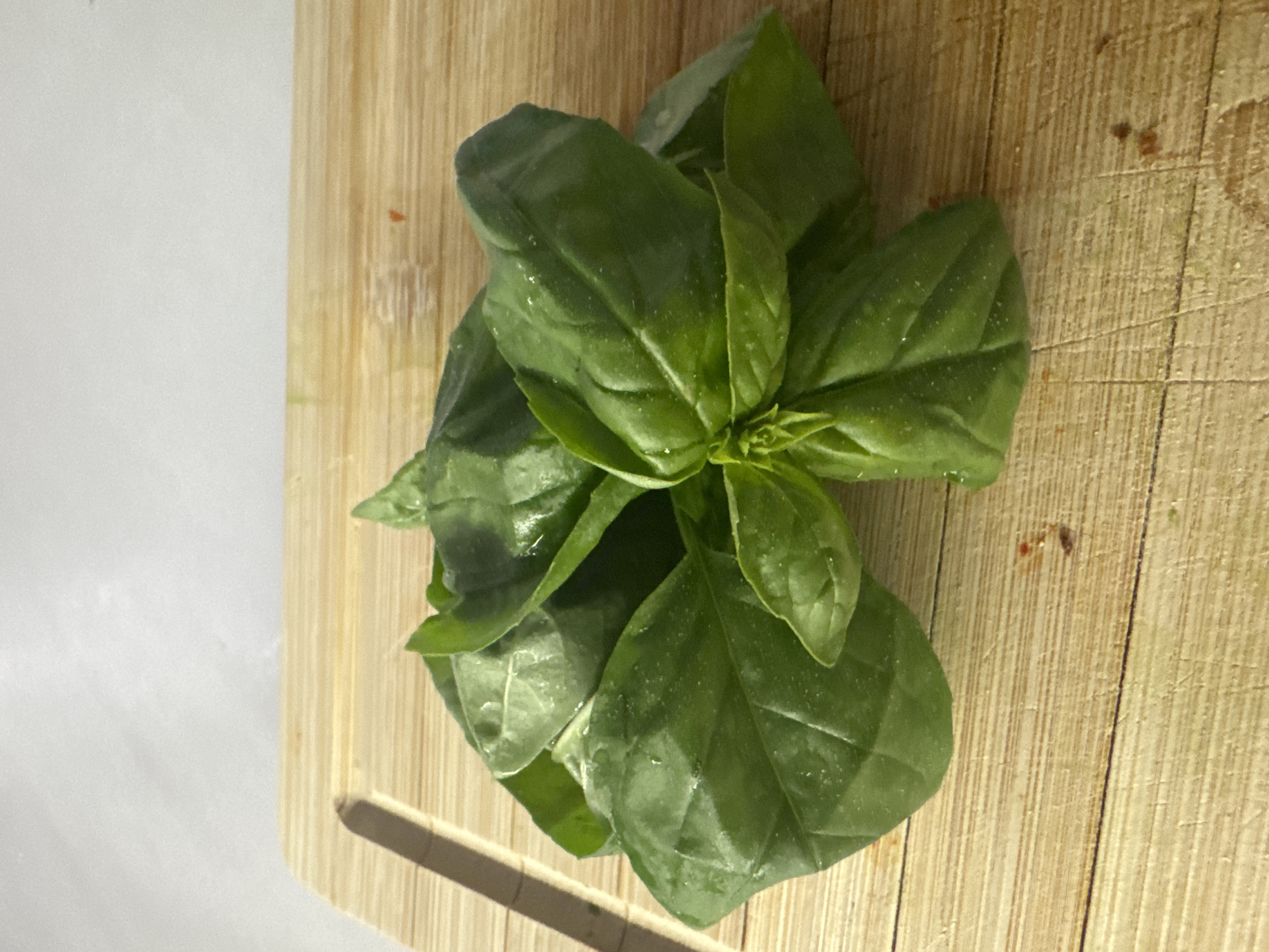 A bunch of fresh basil leaves are arranged on a light-colored wooden cutting board. The leaves are a vibrant green and appear slightly wet, with visible water droplets. The cutting board has a natural wood grain pattern and a subtle indentation on the left side. The background is a plain, light-colored surface, possibly a wall, with soft lighting that casts a gentle shadow on the cutting board. There are no people or any signs of a city environment visible in the image.