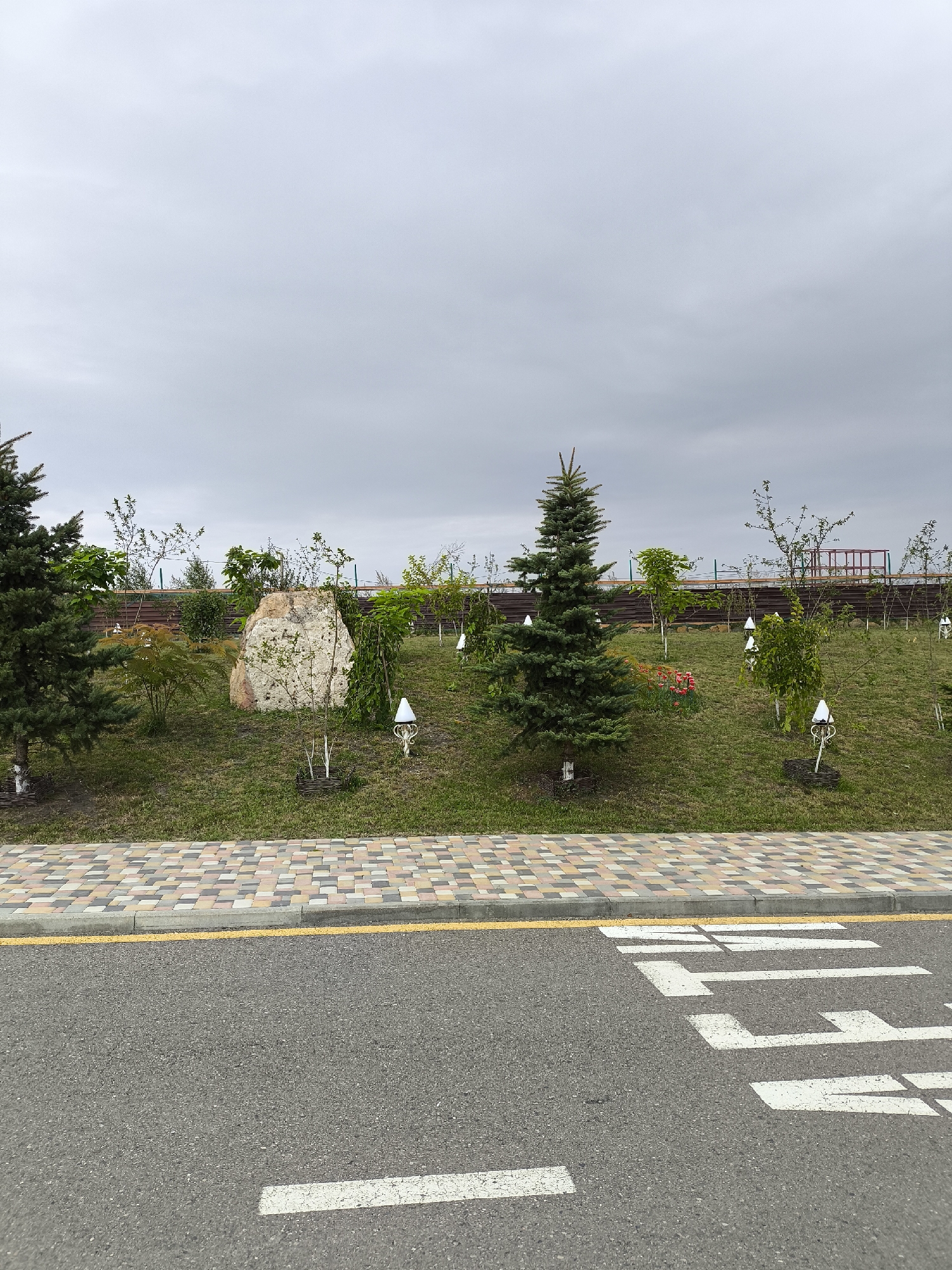 The image depicts a landscape scene in Borgustanskaya, Russia, characterized by a grey, overcast sky. In the foreground, a paved road with a white pedestrian crossing is visible. Adjacent to the road is a sidewalk made of multicolored paving stones, bordered by a yellow line and a concrete curb.
Behind the sidewalk, a sloped grassy area is landscaped with various trees and plants. A large, light-colored rock is a prominent feature on the slope. Several young trees are planted, some with decorative woven bases. White, cone-shaped decorative elements are placed around some of the trees. A wooden fence runs along the top of the slope, separating it from an area with red structures. Red flowers are visible on the grassy slope.
The trees include an evergreen fir tree on the left side of the image and a smaller, conical evergreen tree towards the center. Other deciduous trees and shrubs are scattered across the landscape. The overall impression is of a well-maintained park or public space. There are no people visible in the image.